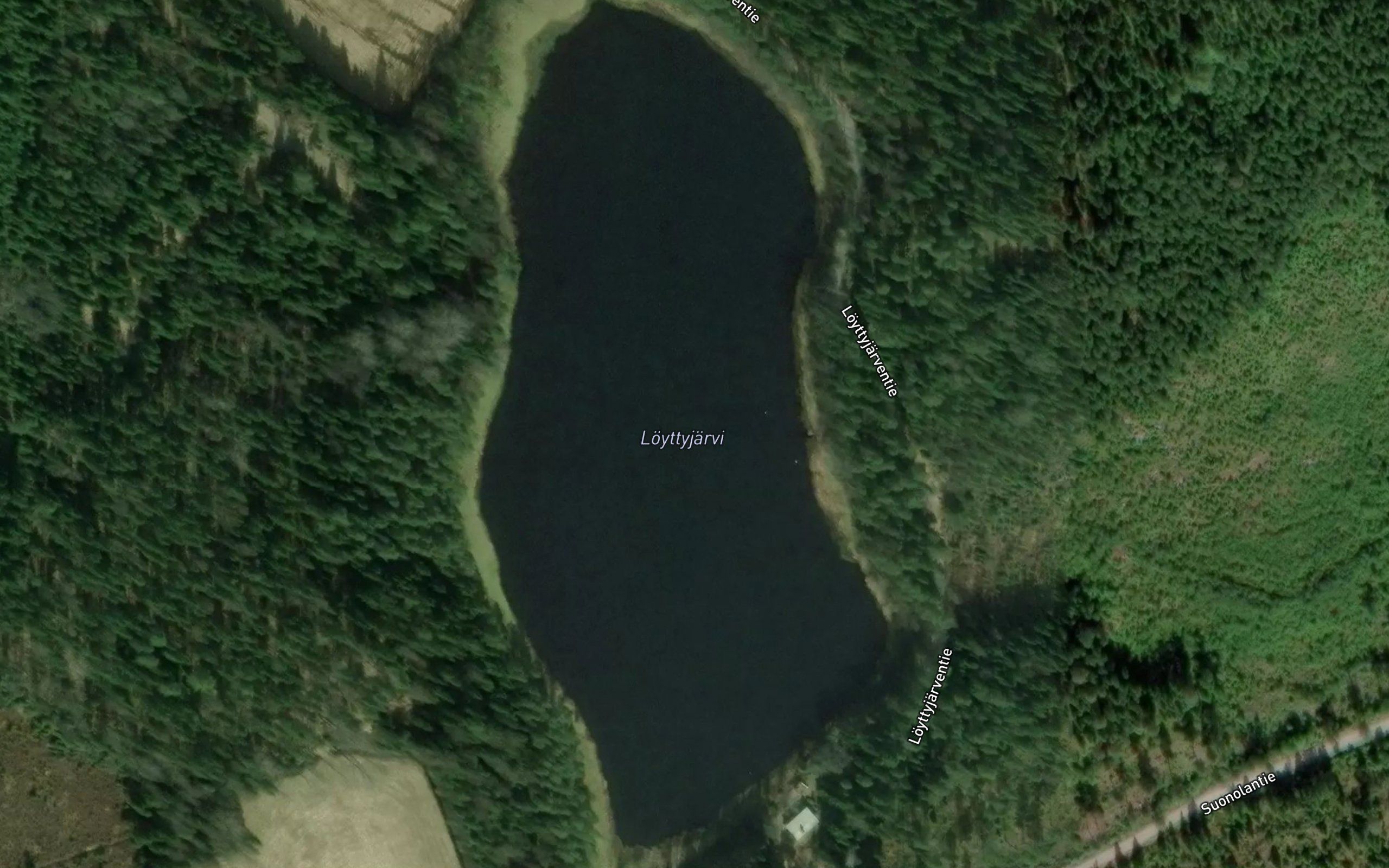 Loyttyjarvi