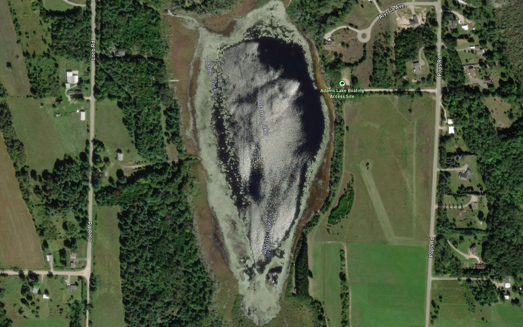 Satellite map of the Adams Lake