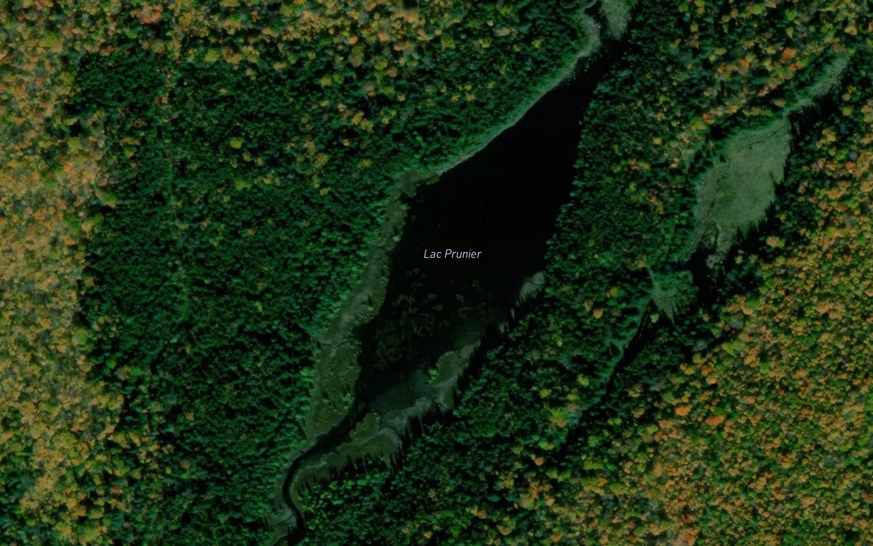 Satellite map of the Lac Prunier