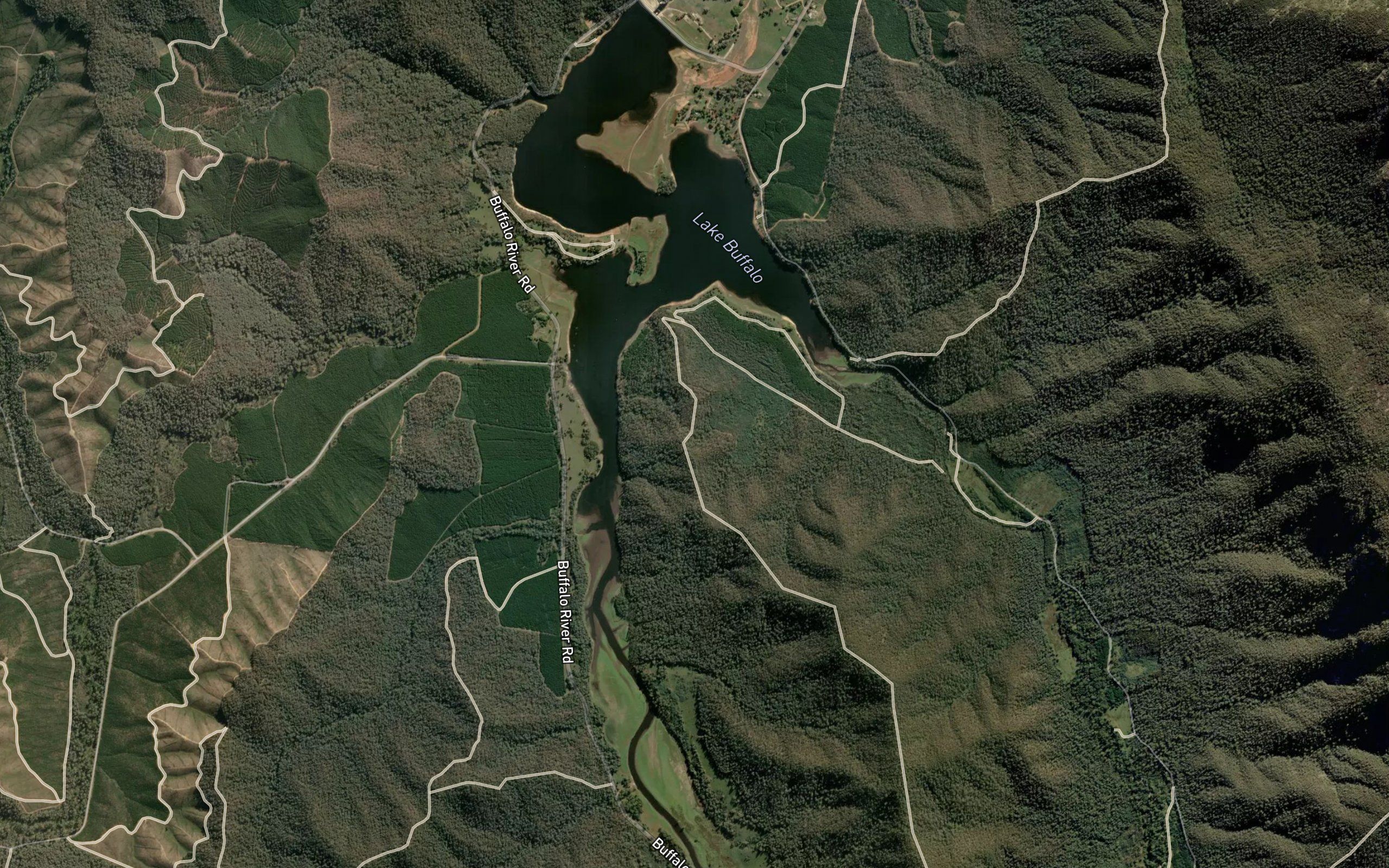 Lake Buffalo