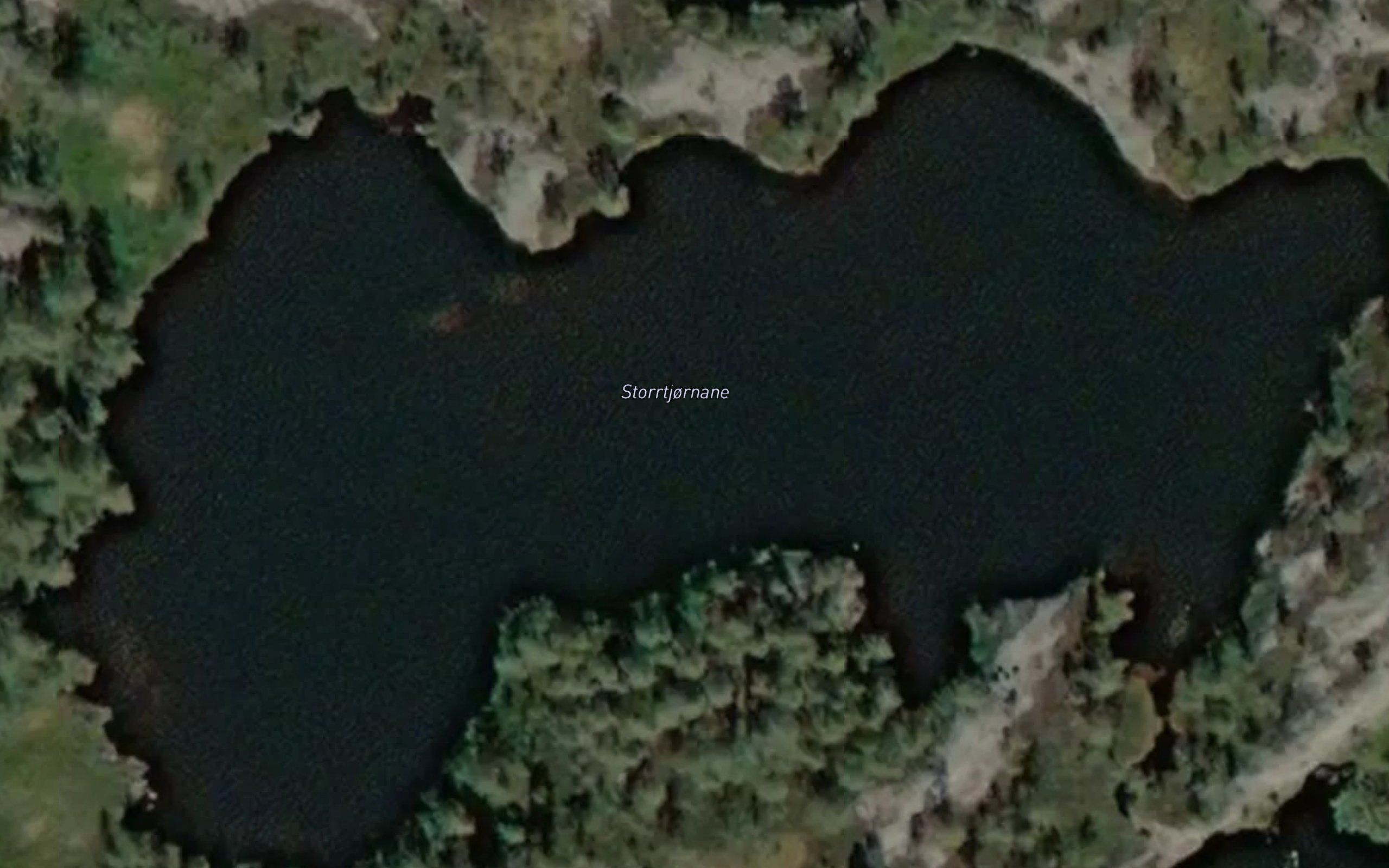 Storrtjornane