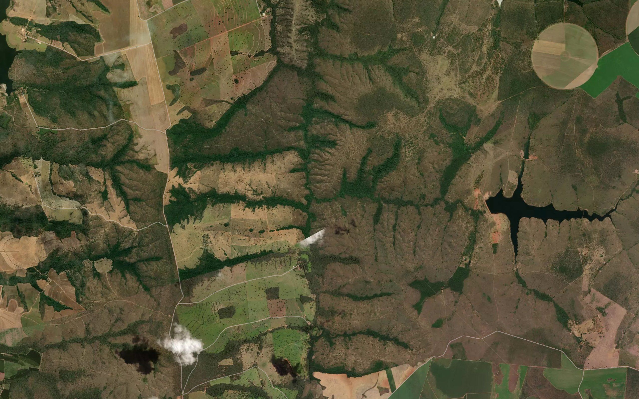 Corrego dos Porcos