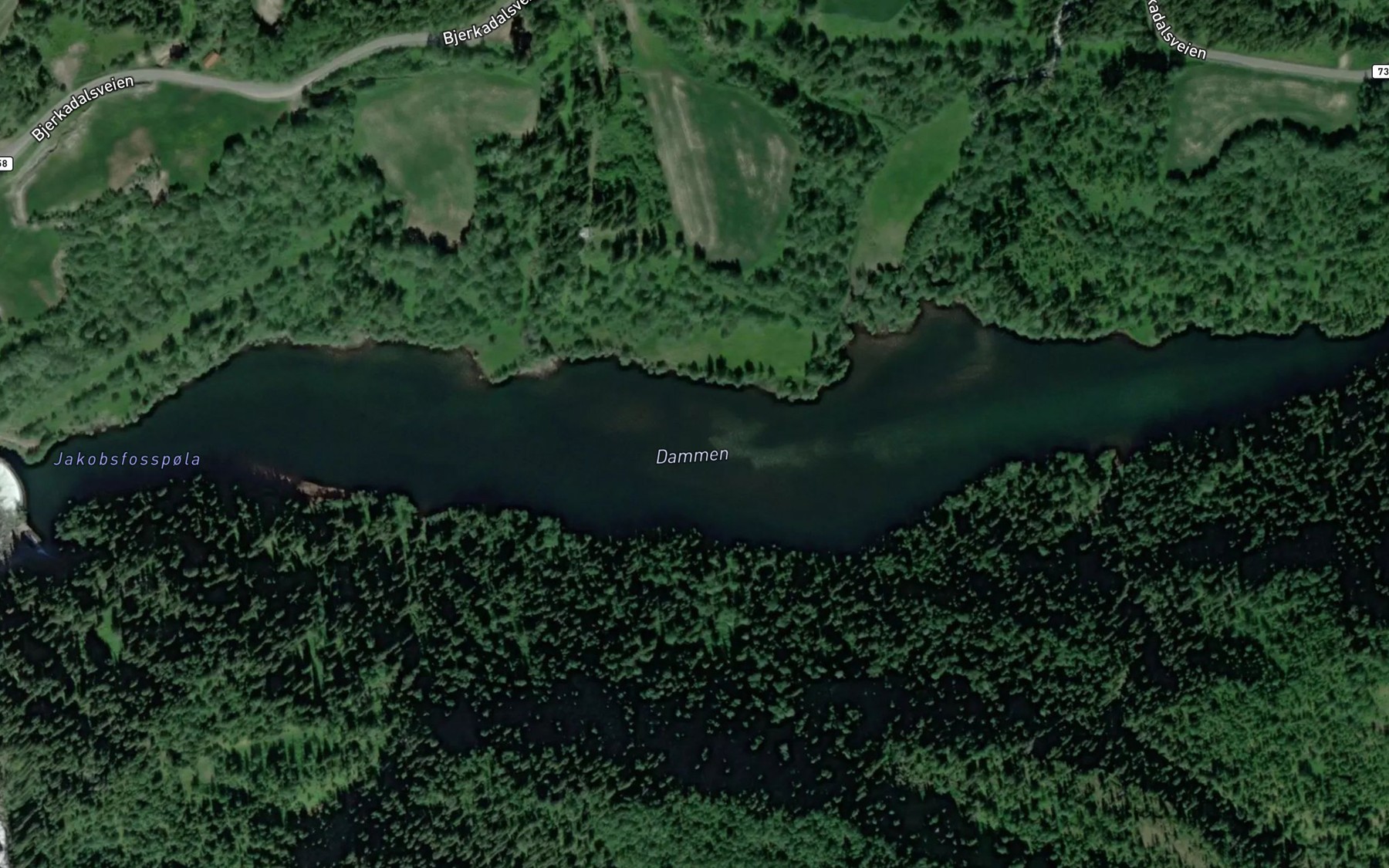 Satellite map of the Dammen