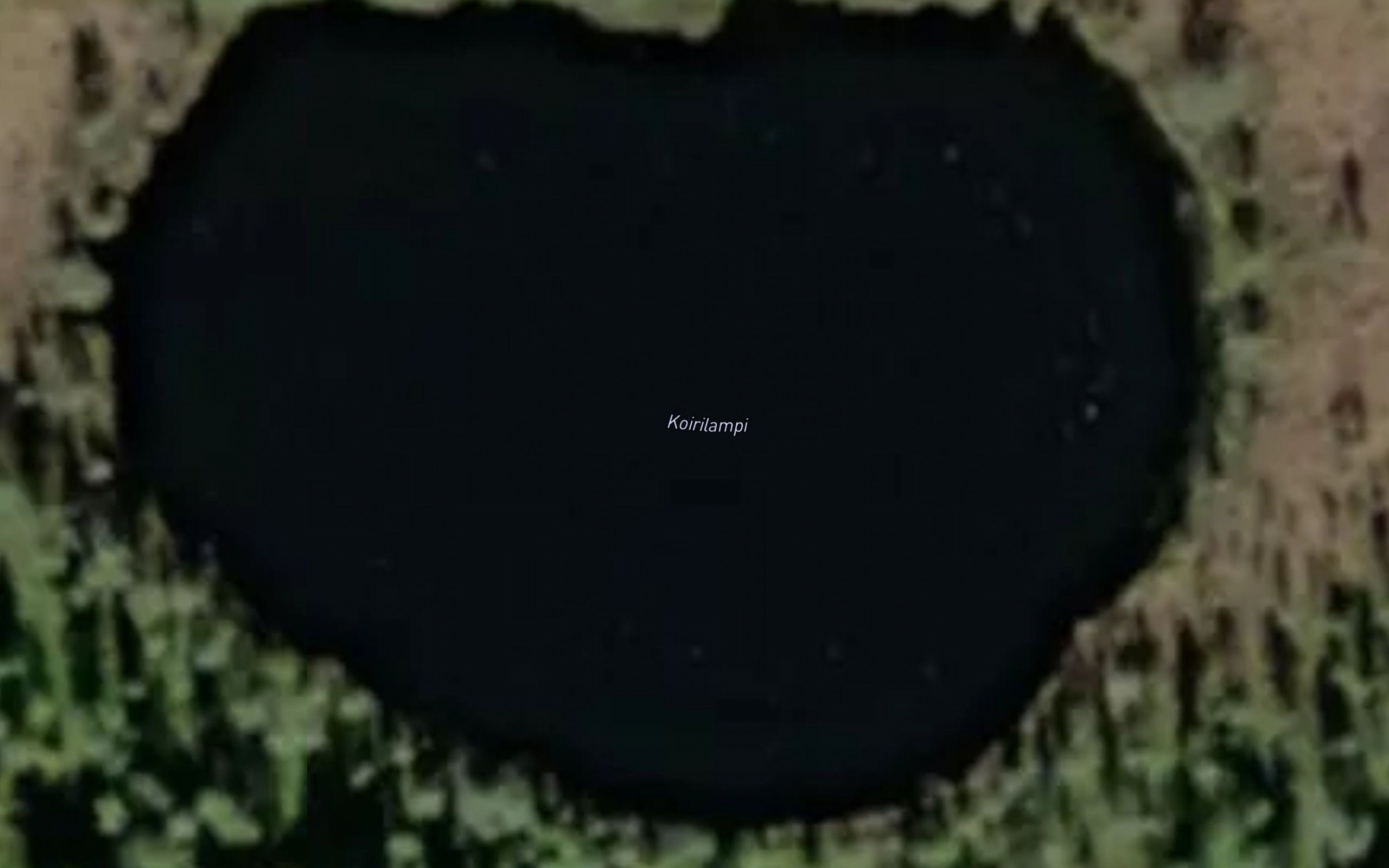 Koirilampi