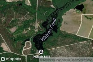 Watson Pond