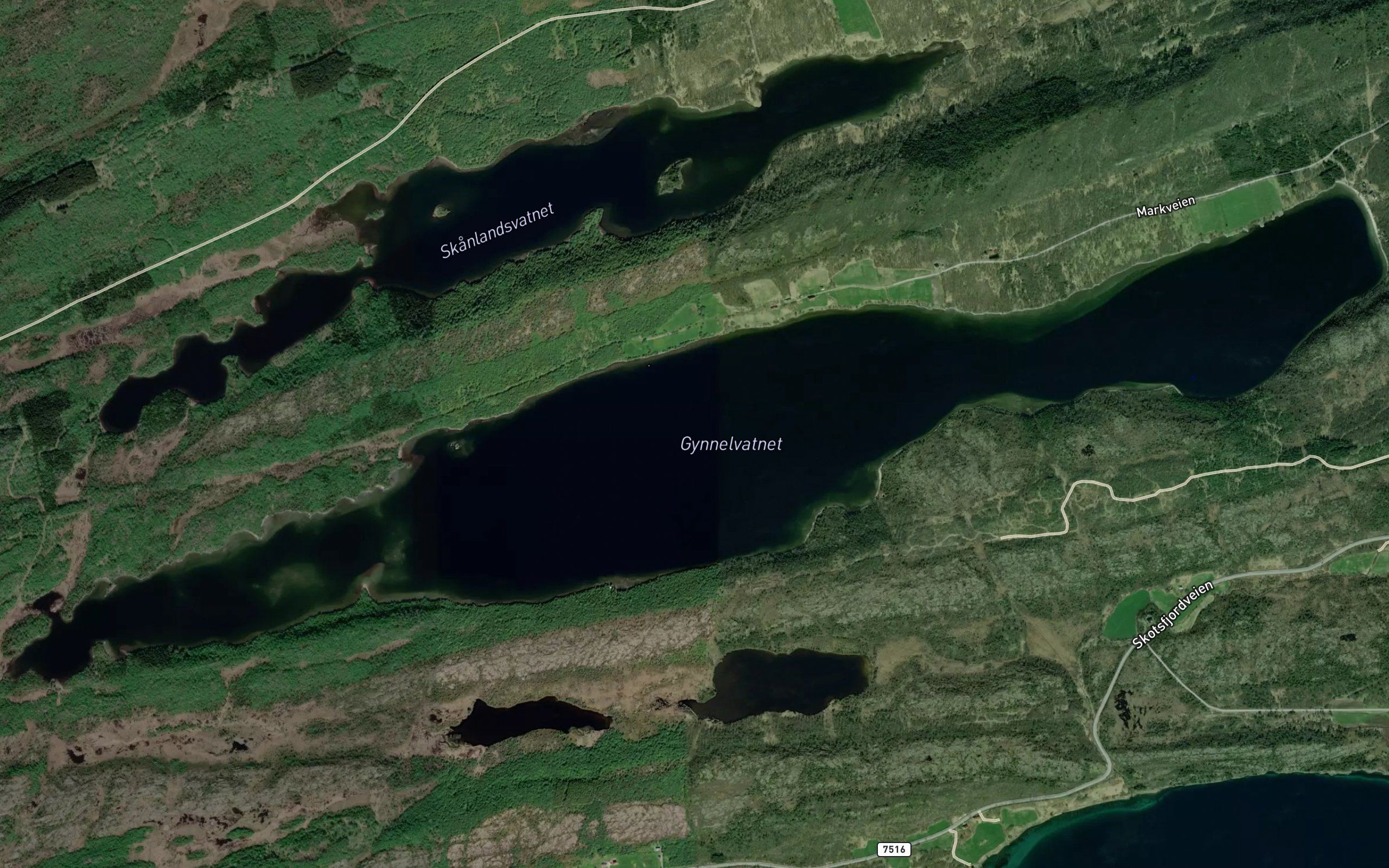Gynnelvatnet