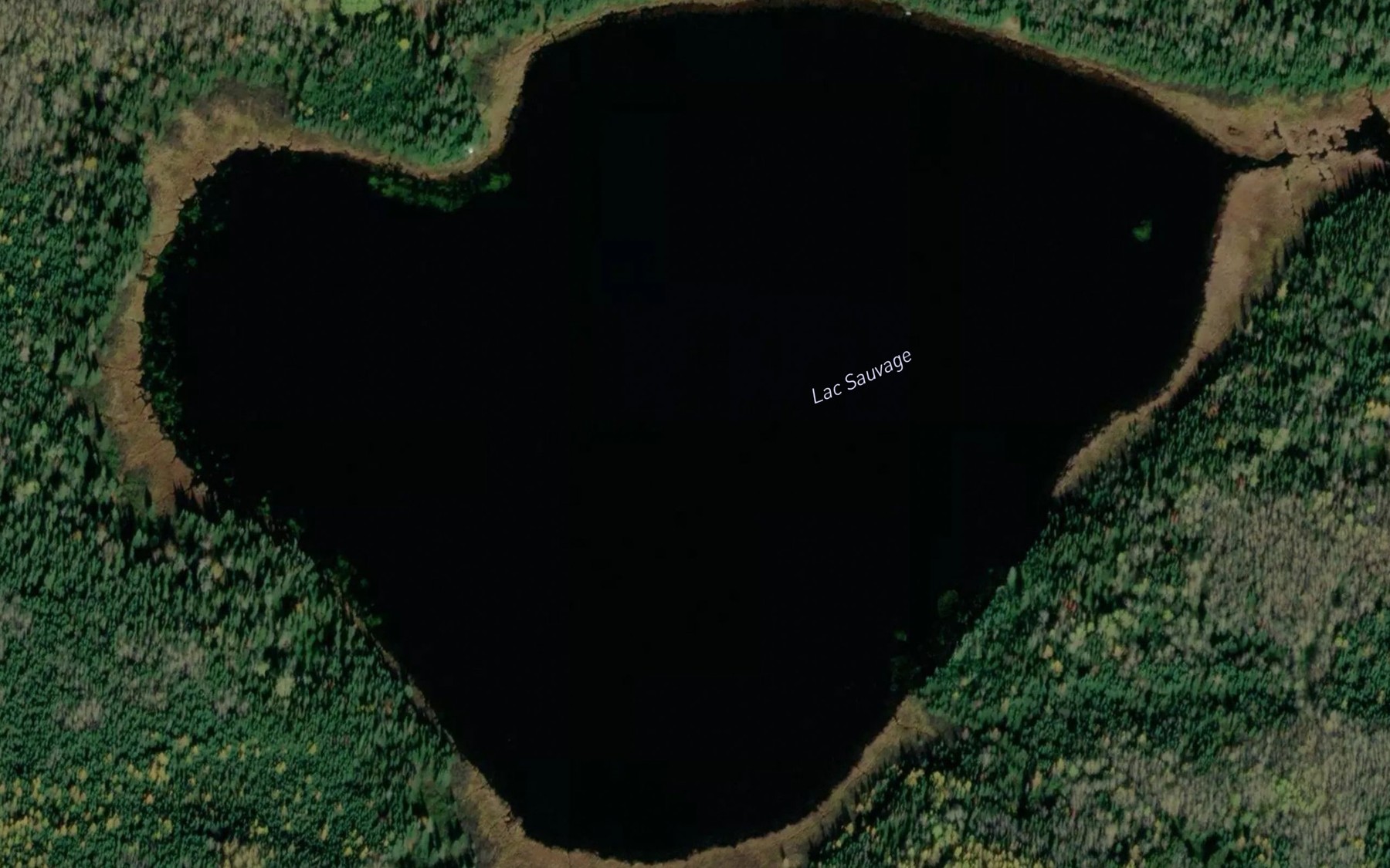 Satellite map of the Lac Sauvage