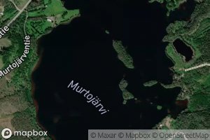 Satellite map of the Murtojarvi