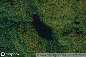 Lac Steers