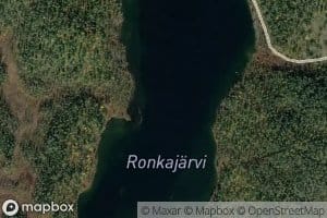 Ronkajarvi
