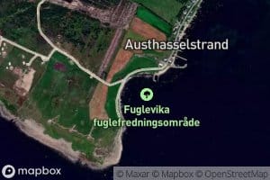 Fuglevika