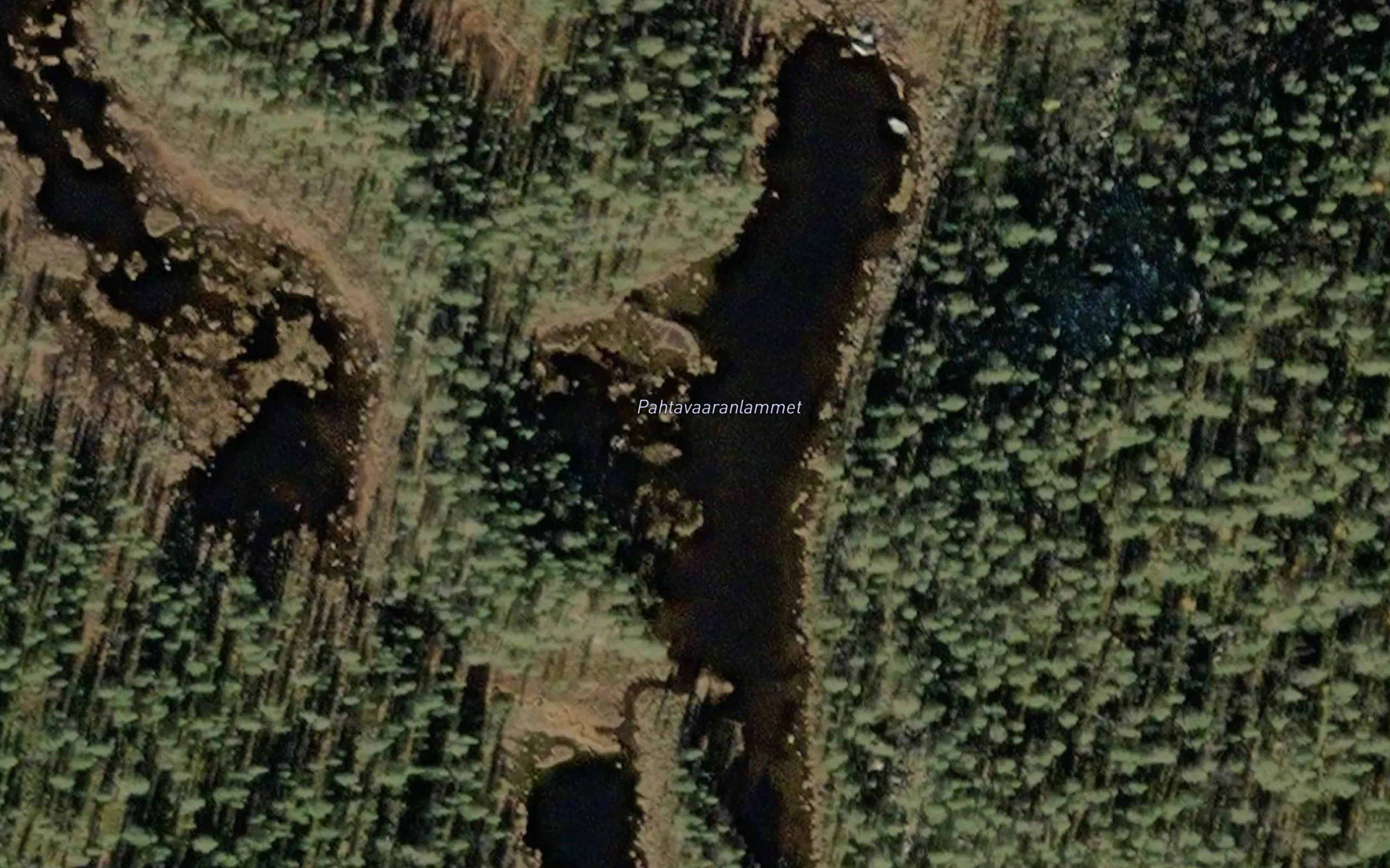 Pahtavaaranlammet