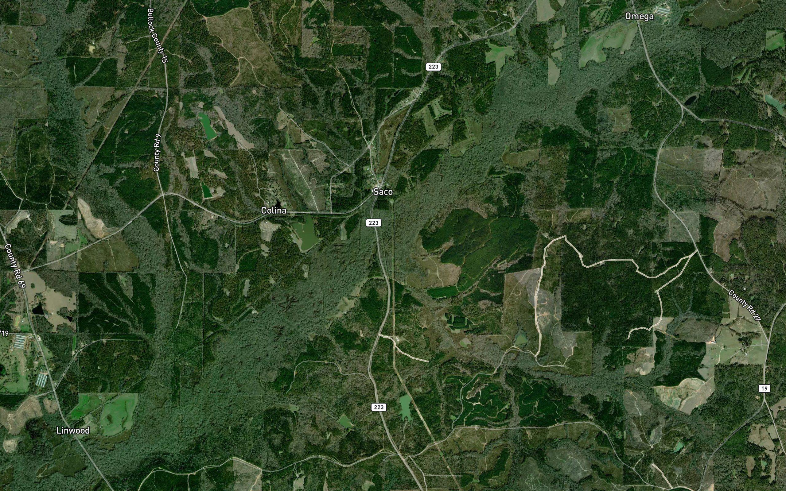 Morgan Branch