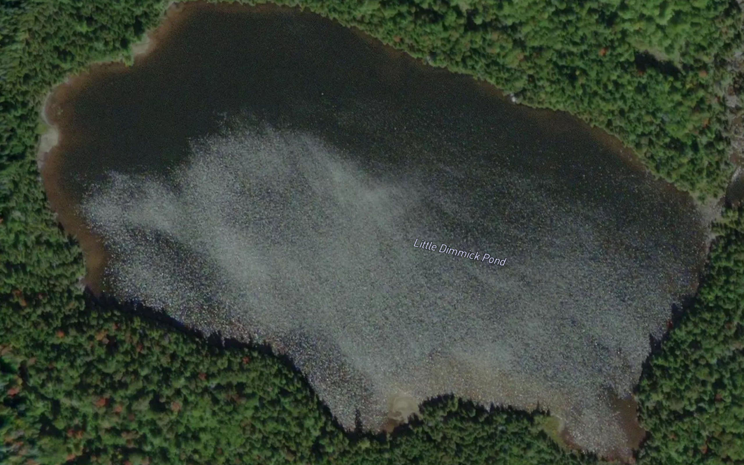Little Dimmick Pond