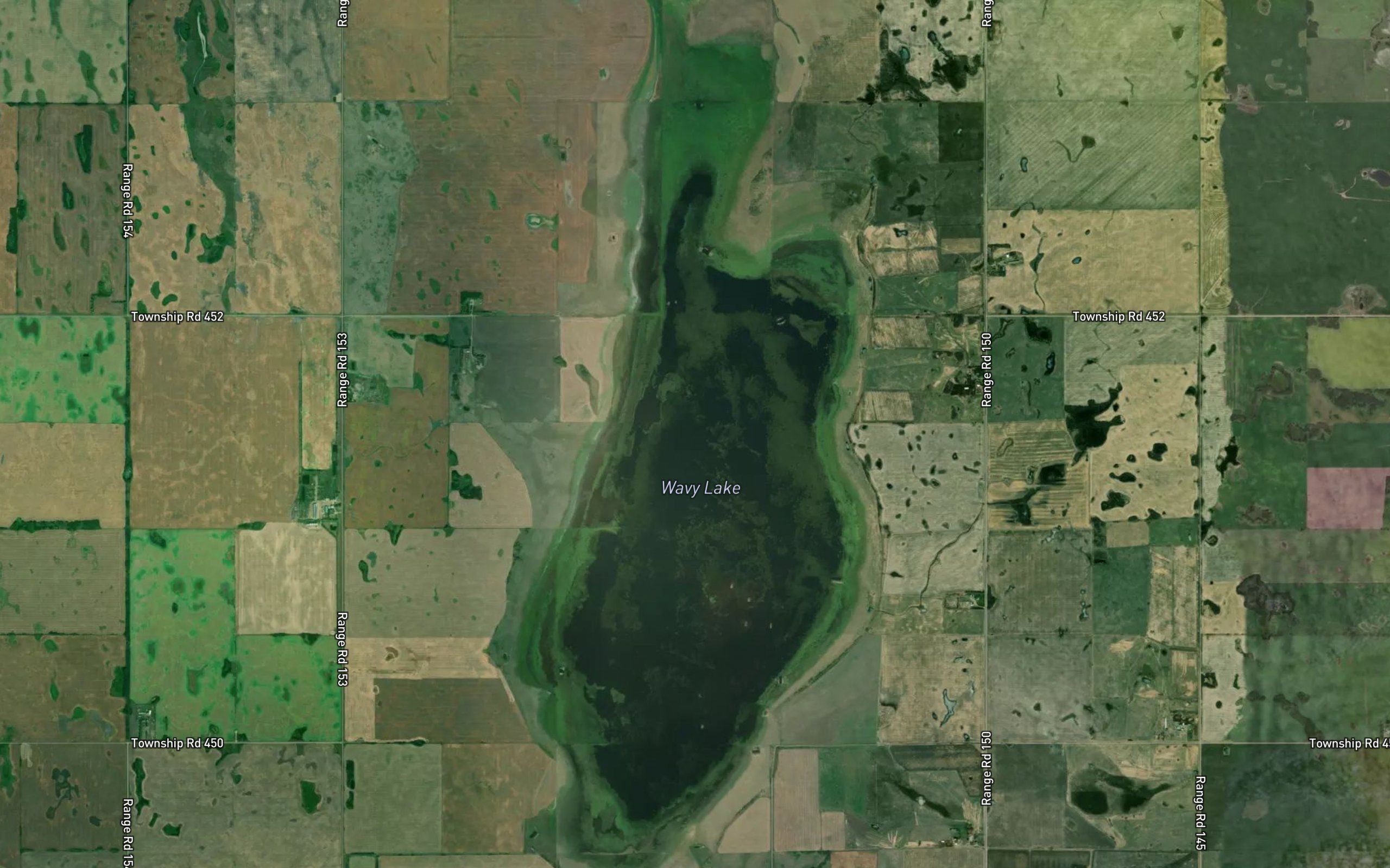 Wavy Lake