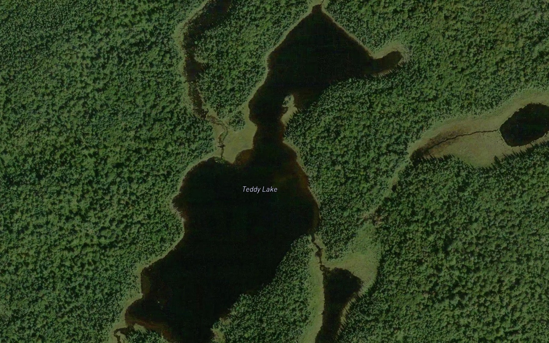 Satellite map of the Teddy Lake