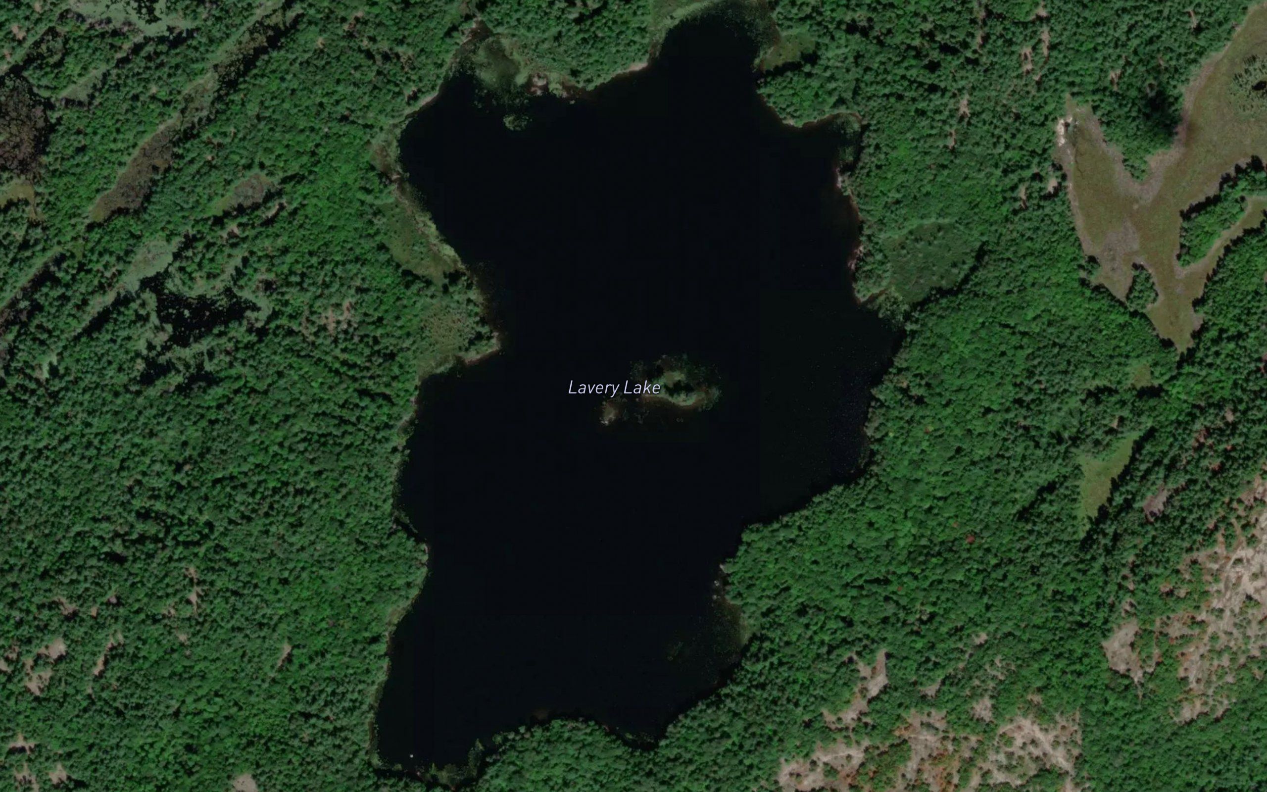 Lavery Lake