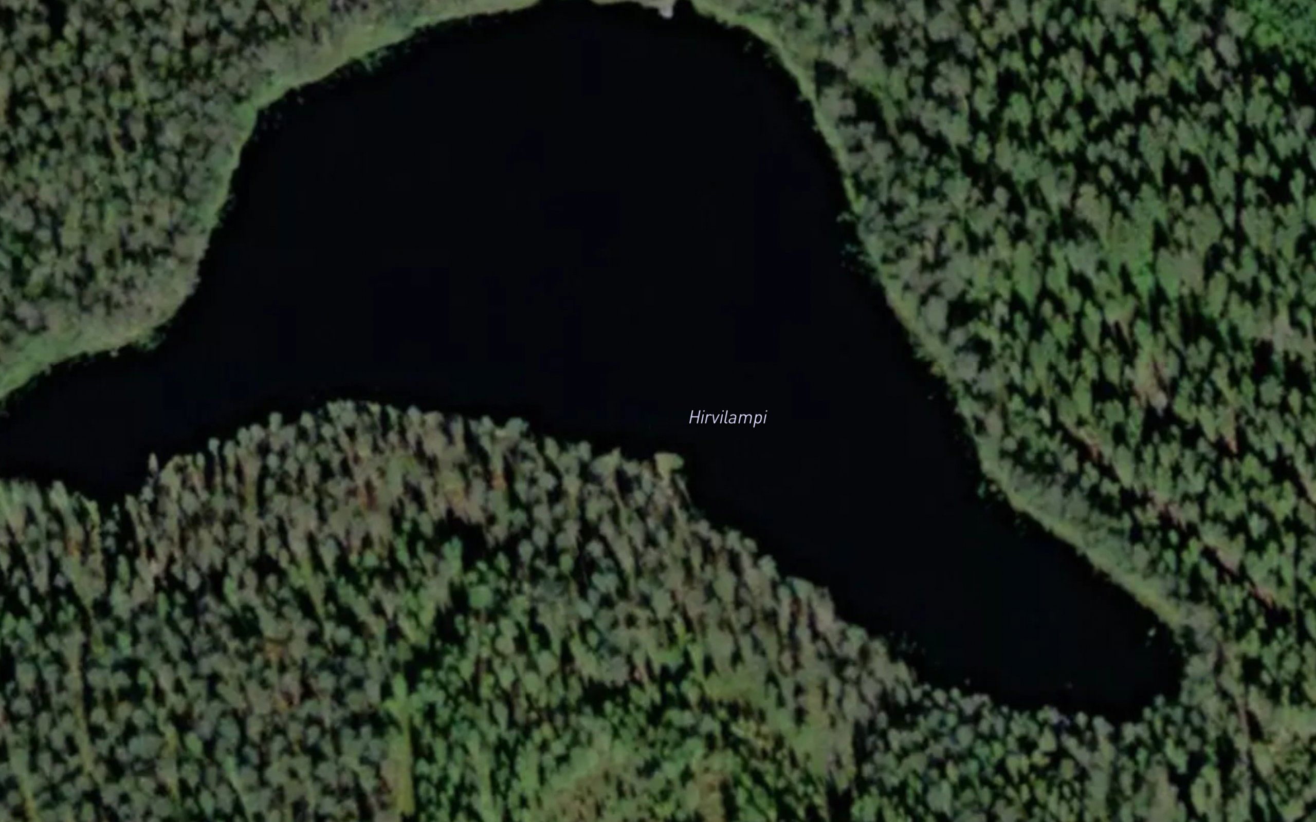 Hirvilampi