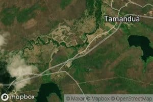 Riacho Tamandua