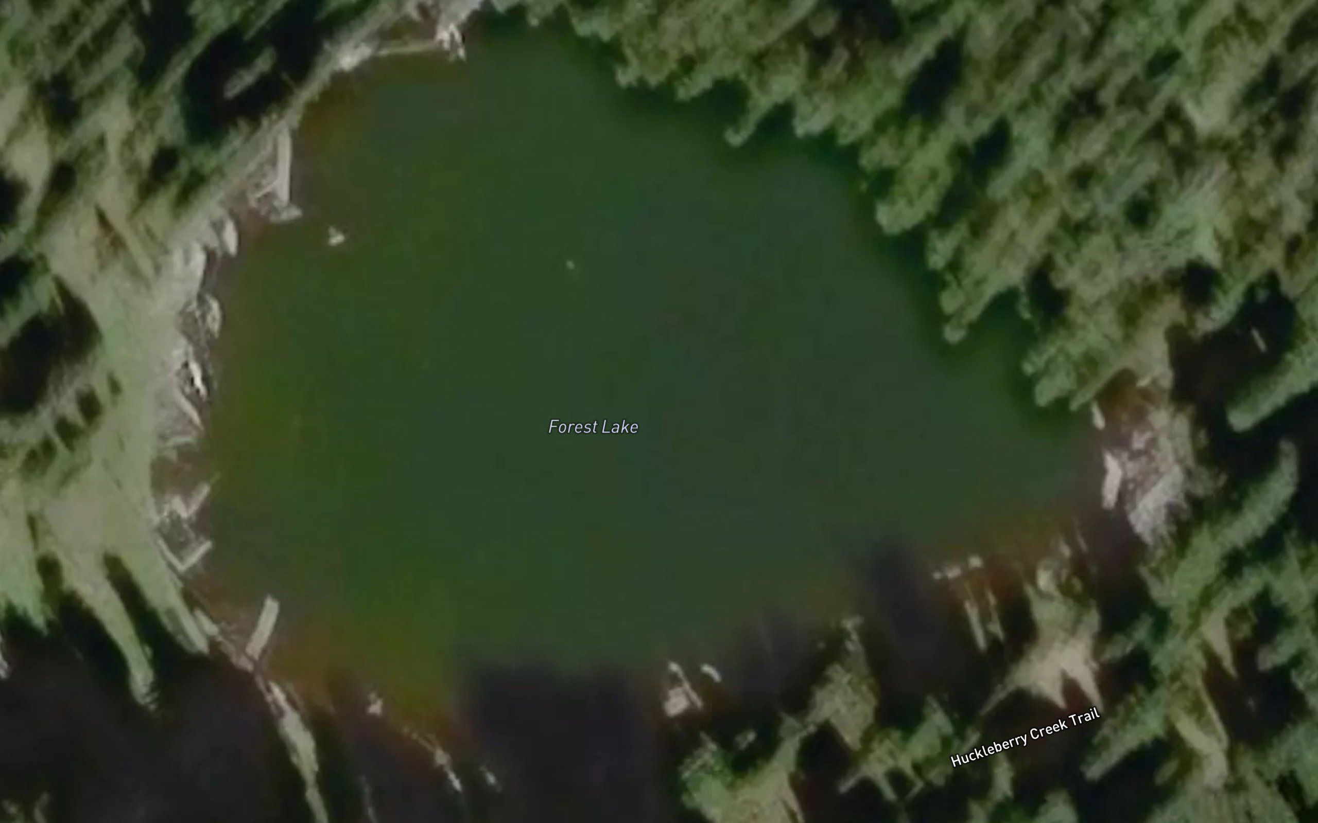 Forest Lake