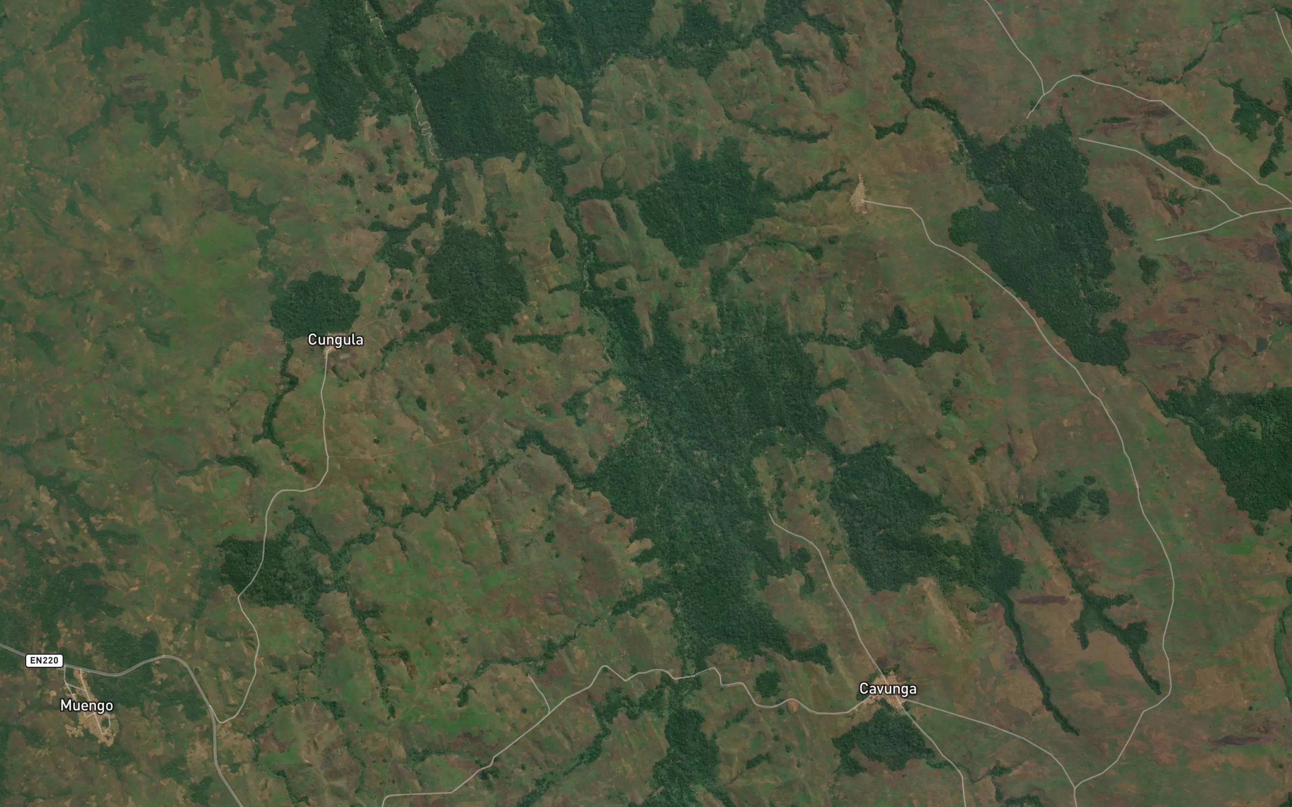 Nzamba