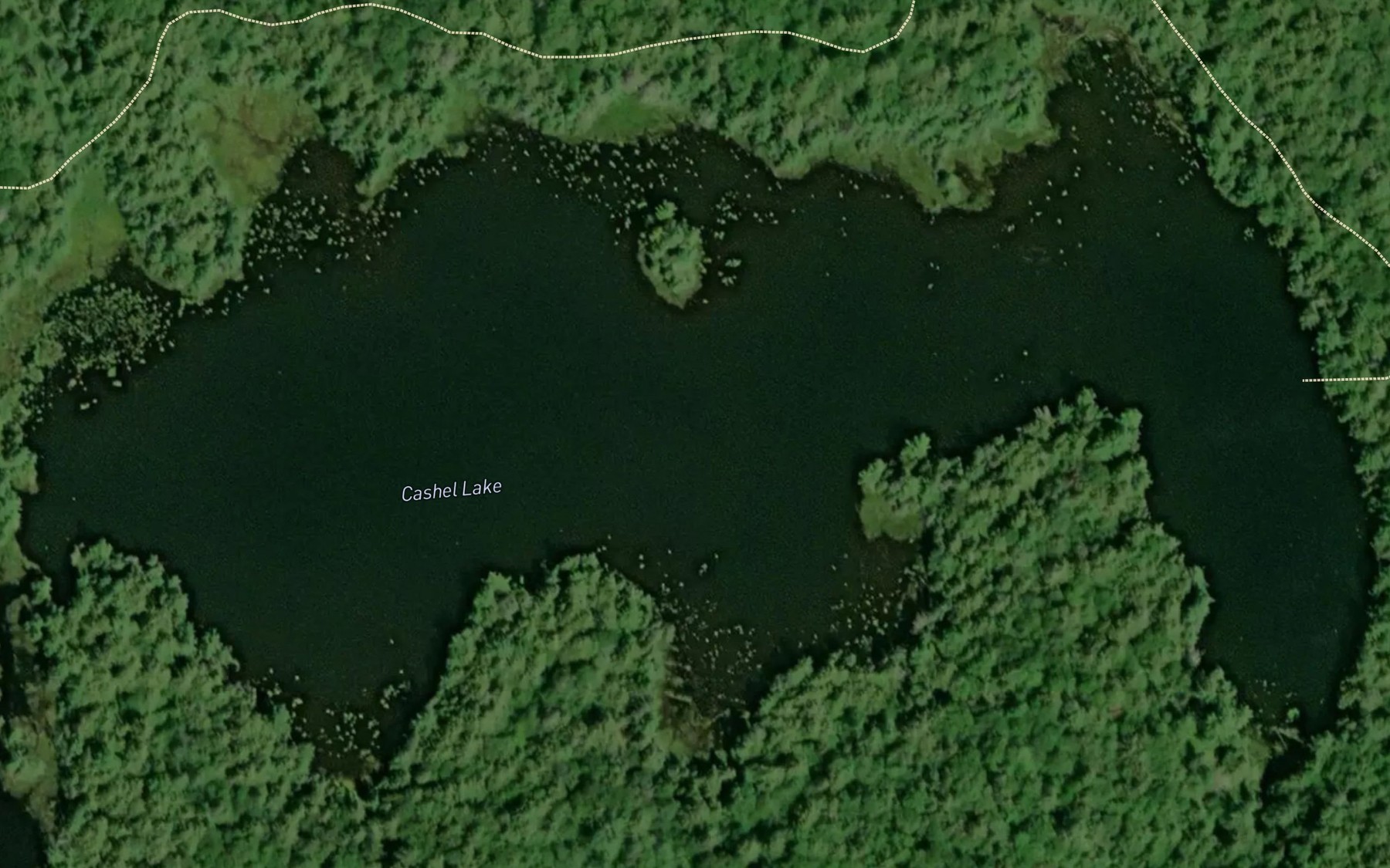 Satellite map of the Cashel Lake