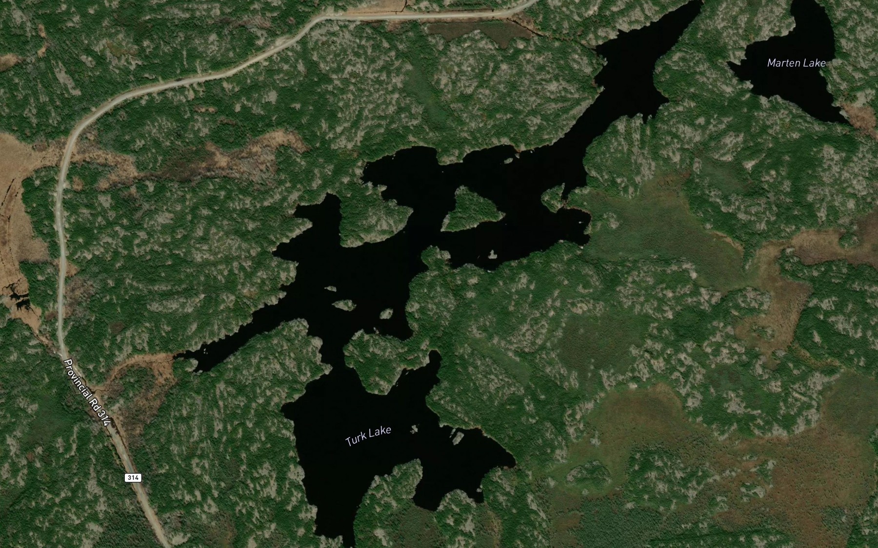 Satellite map of the Turk Lake