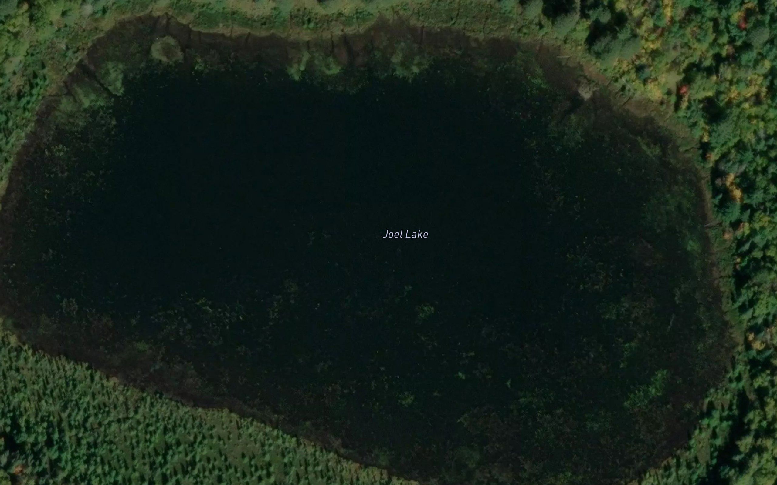 Joel Lake