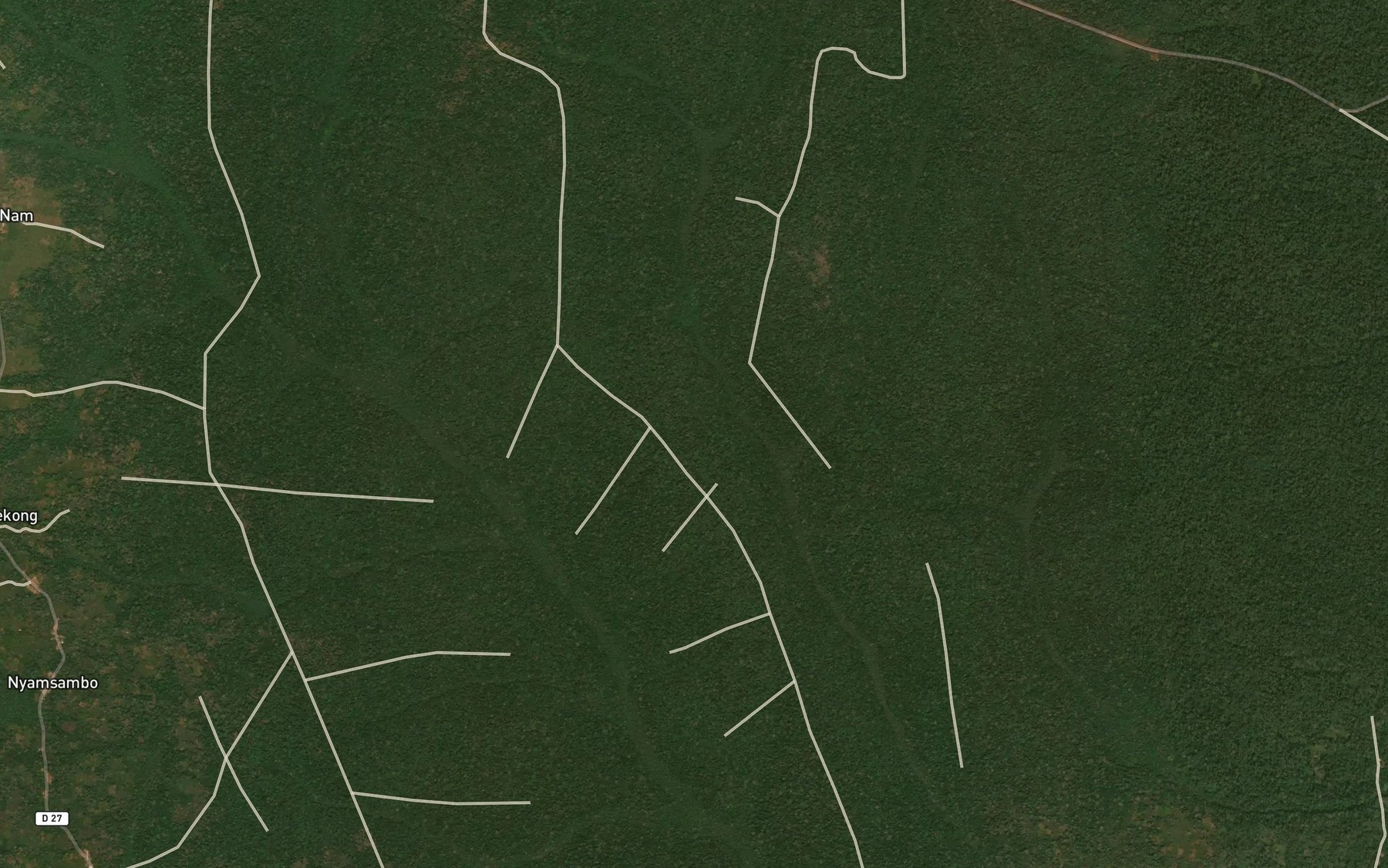 Satellite map of the Ndjele