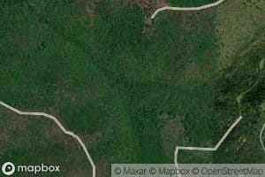 Left Branch Lieb Run