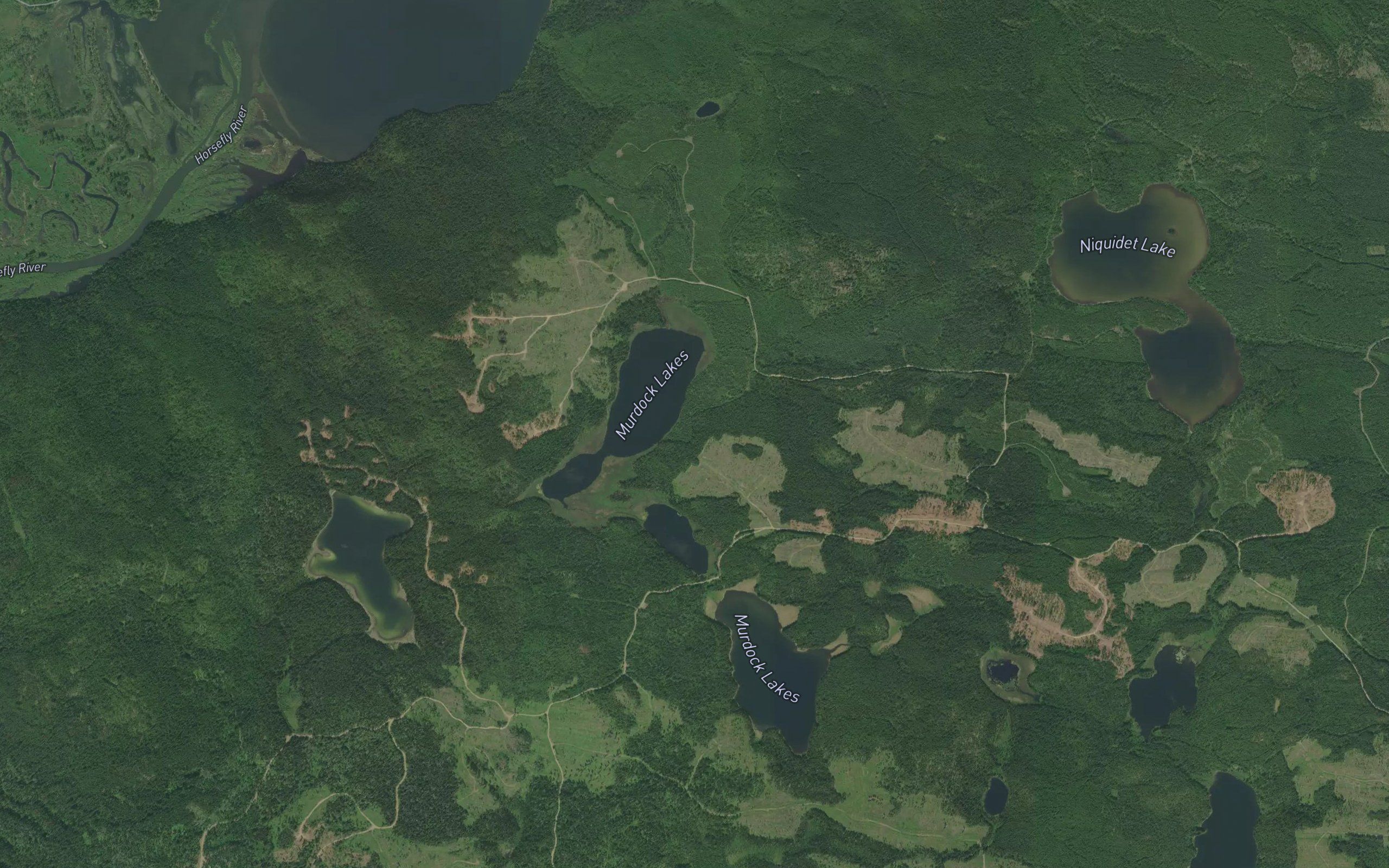 Murdock Lakes