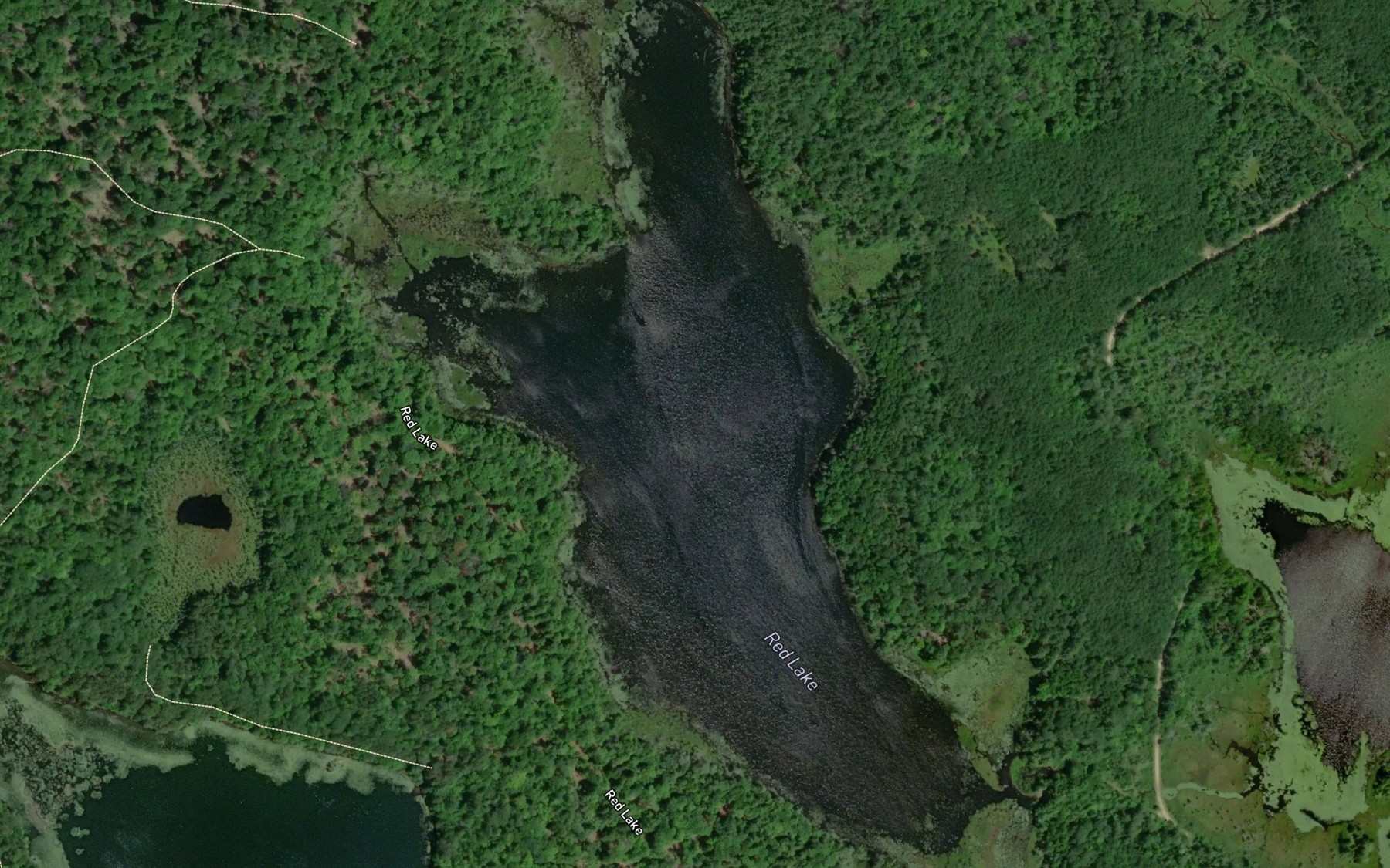 Satellite map of the Red Lake