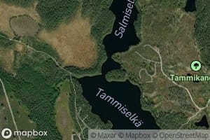 Tammisalmi