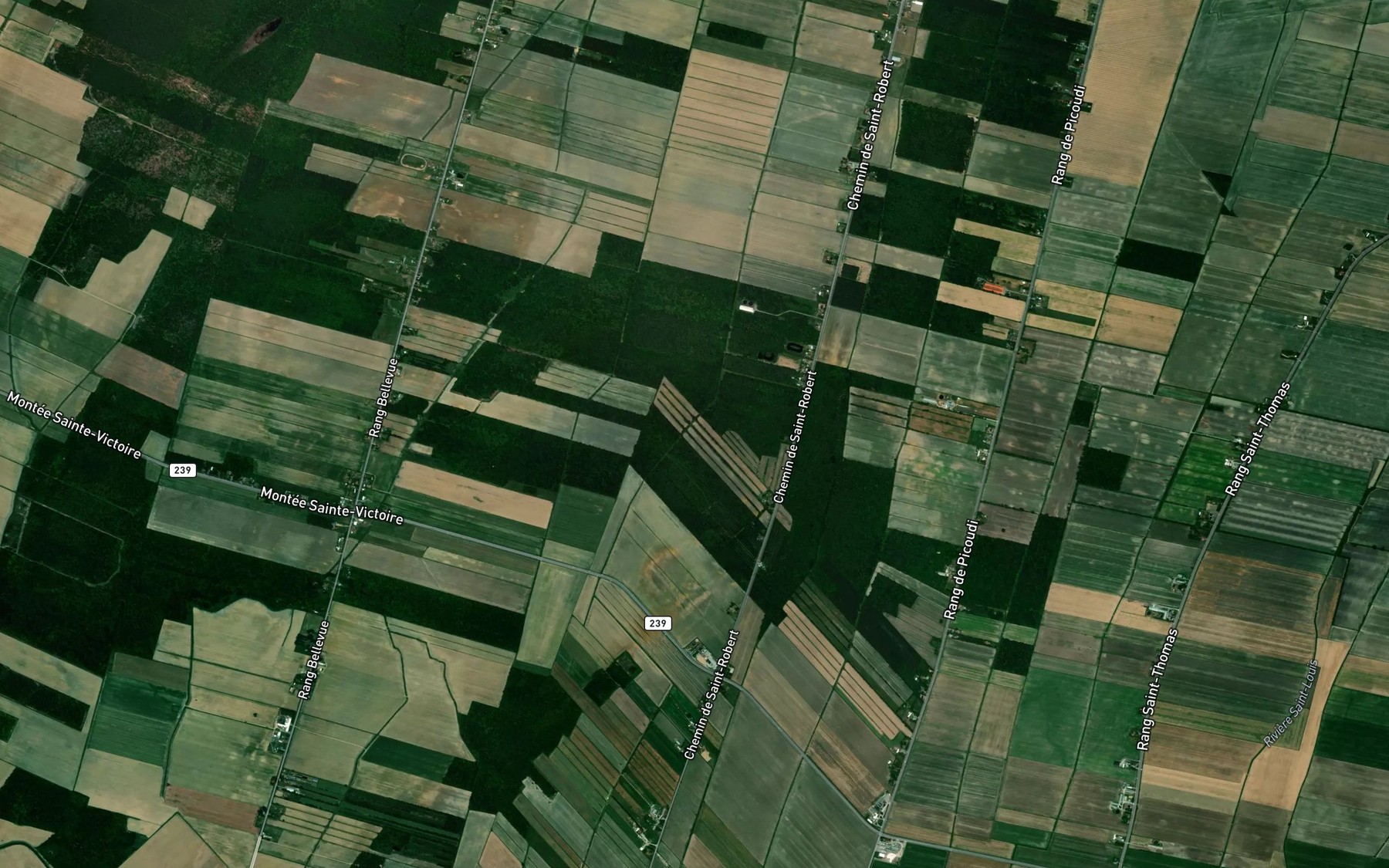 Satellite map of the Ruisseau Josephat-Salvas