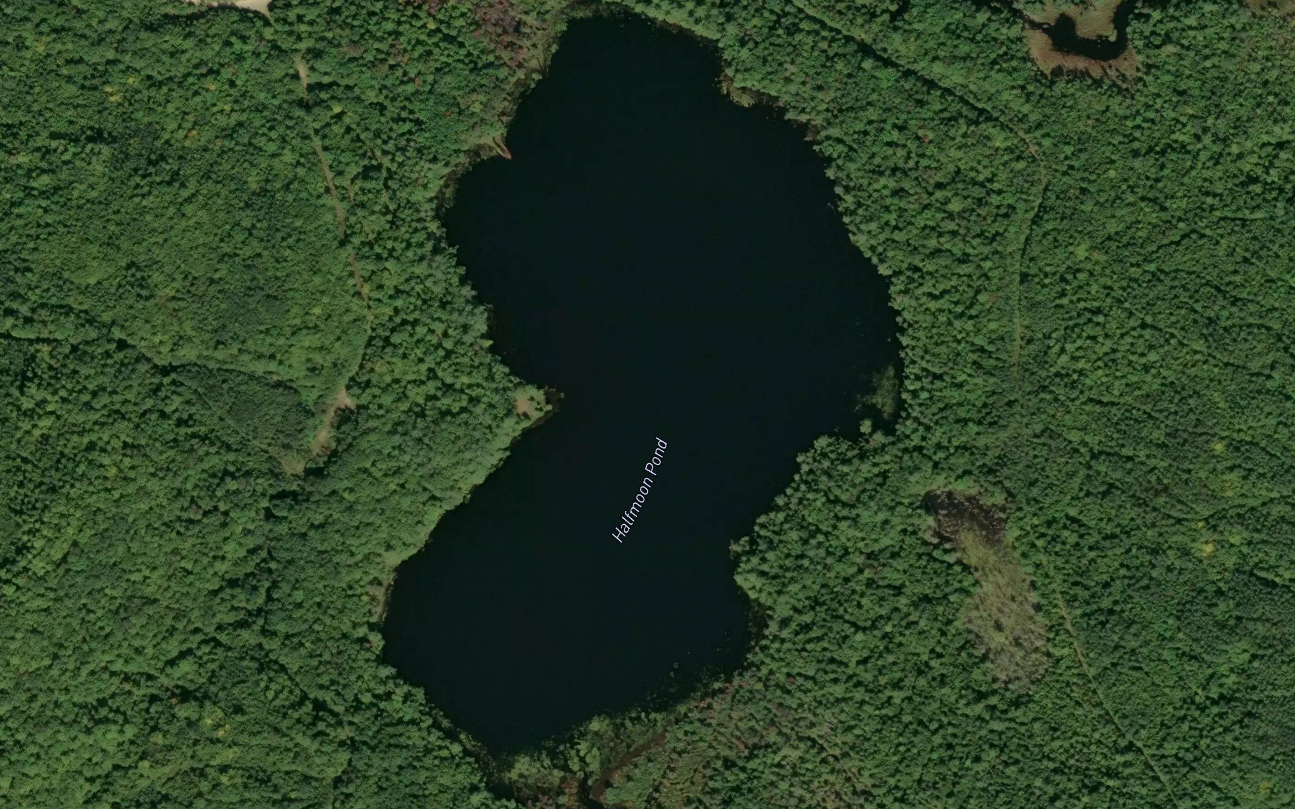 Halfmoon Pond