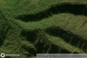 Lost Prong