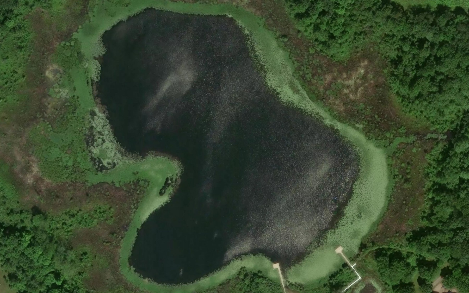 Satellite map of the Rodgers Lake