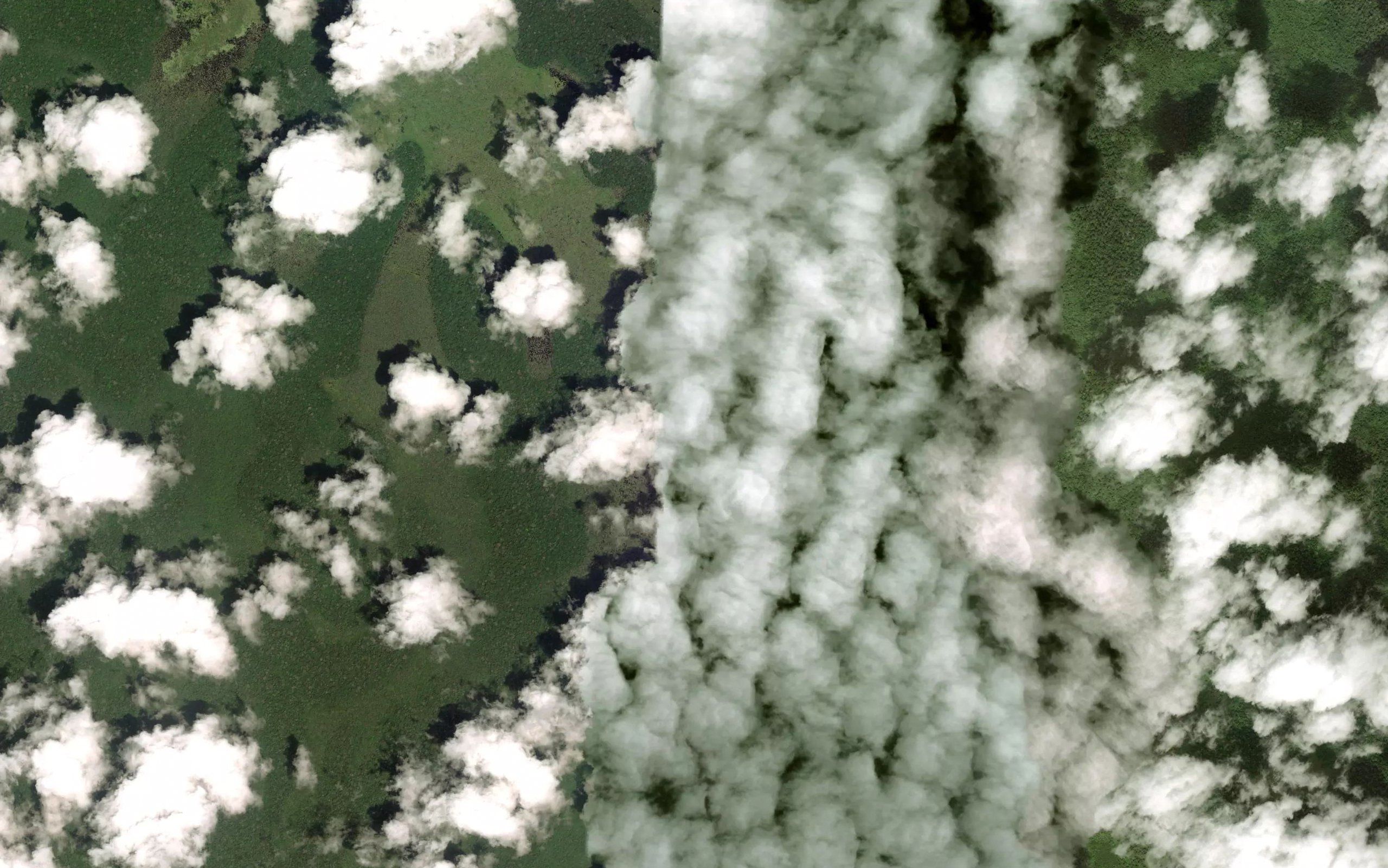 Moutara