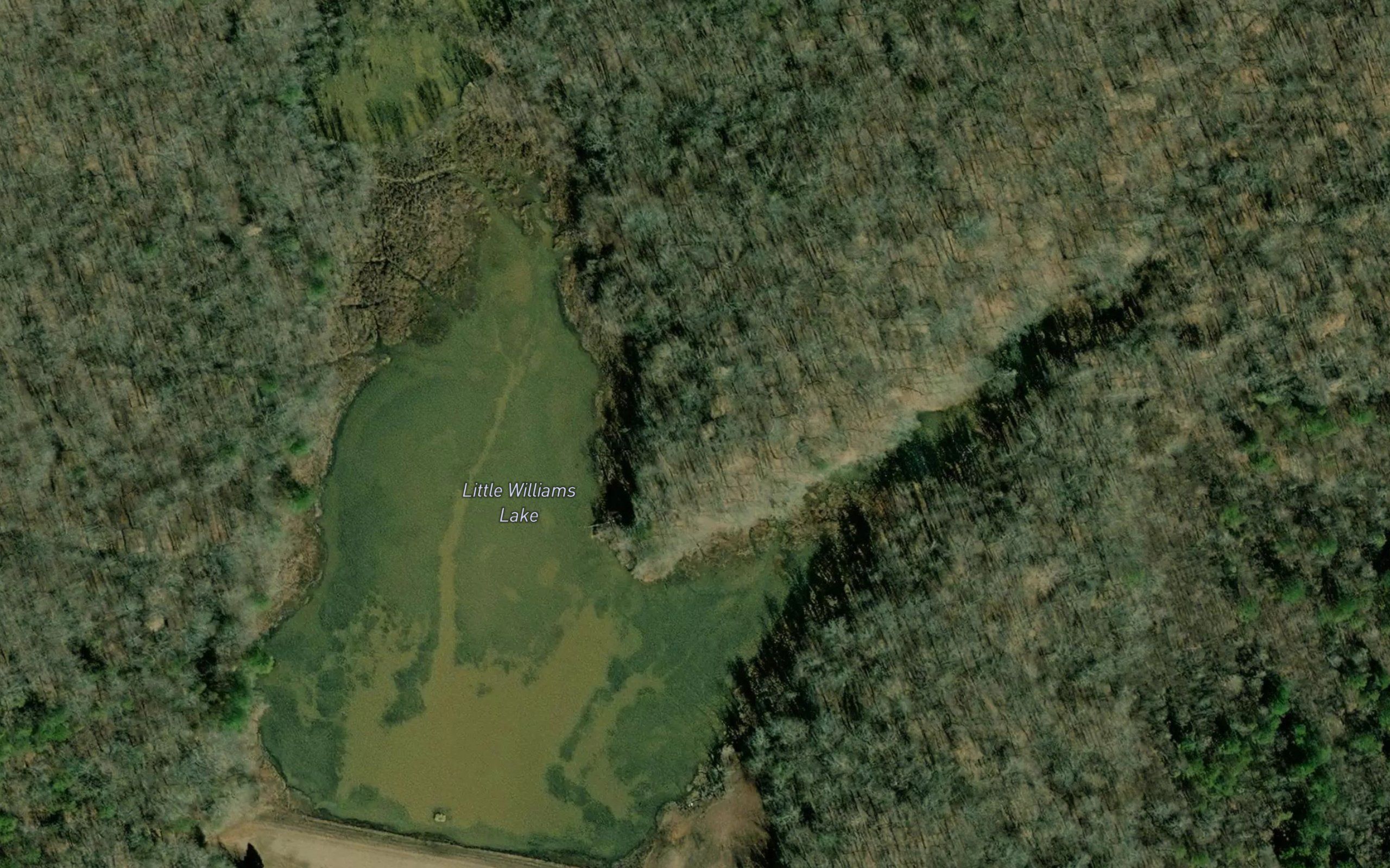 Little Williams Lake