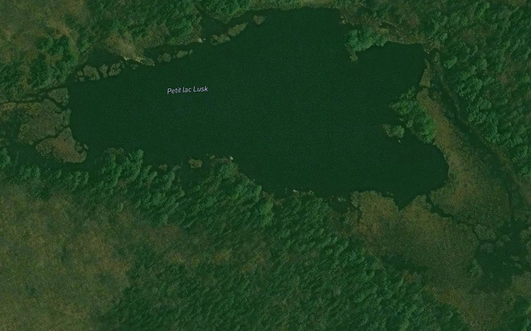 Satellite map of the Petit lac Lusk