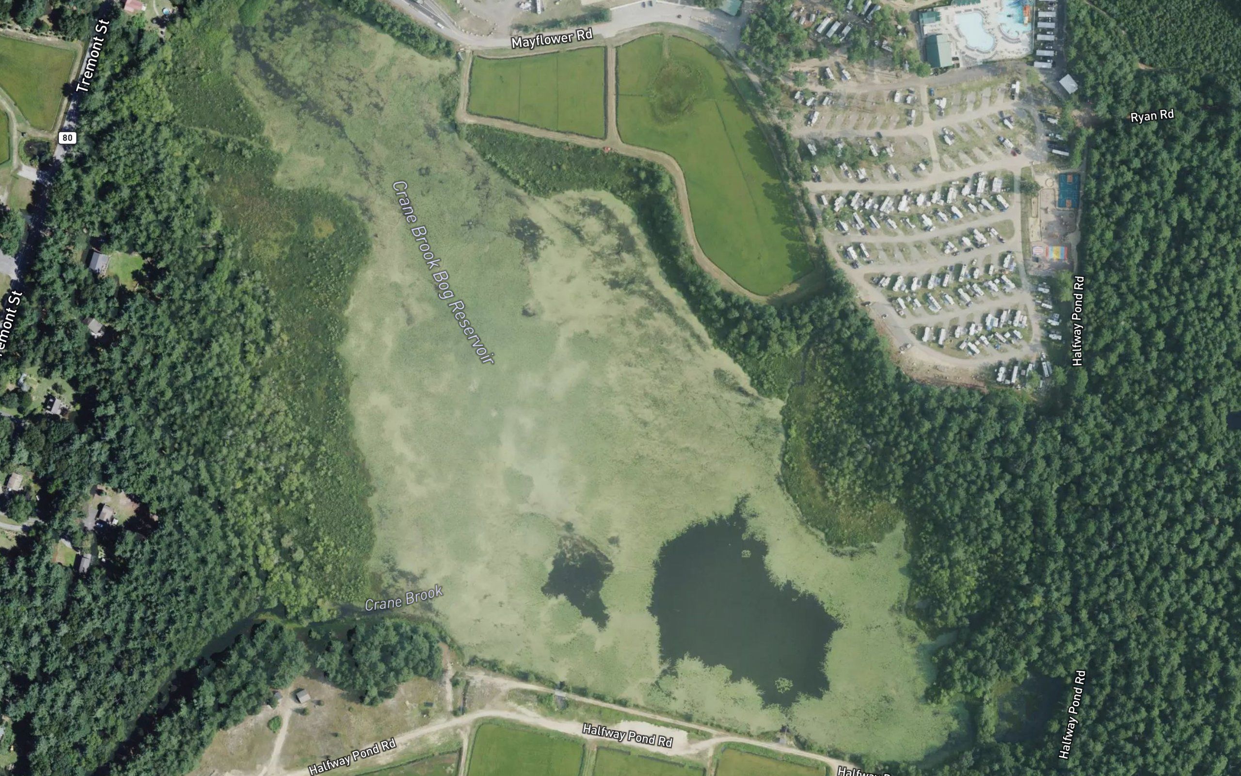 Crane Brook Bog Reservoir