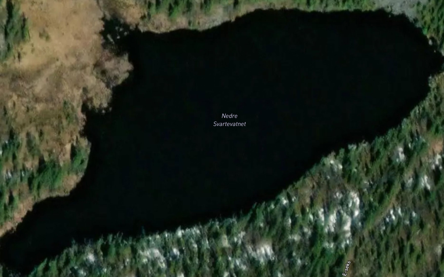 Satellite map of the Nedre Svartevatnet