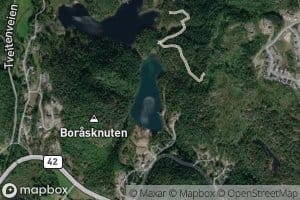 Borrastjern