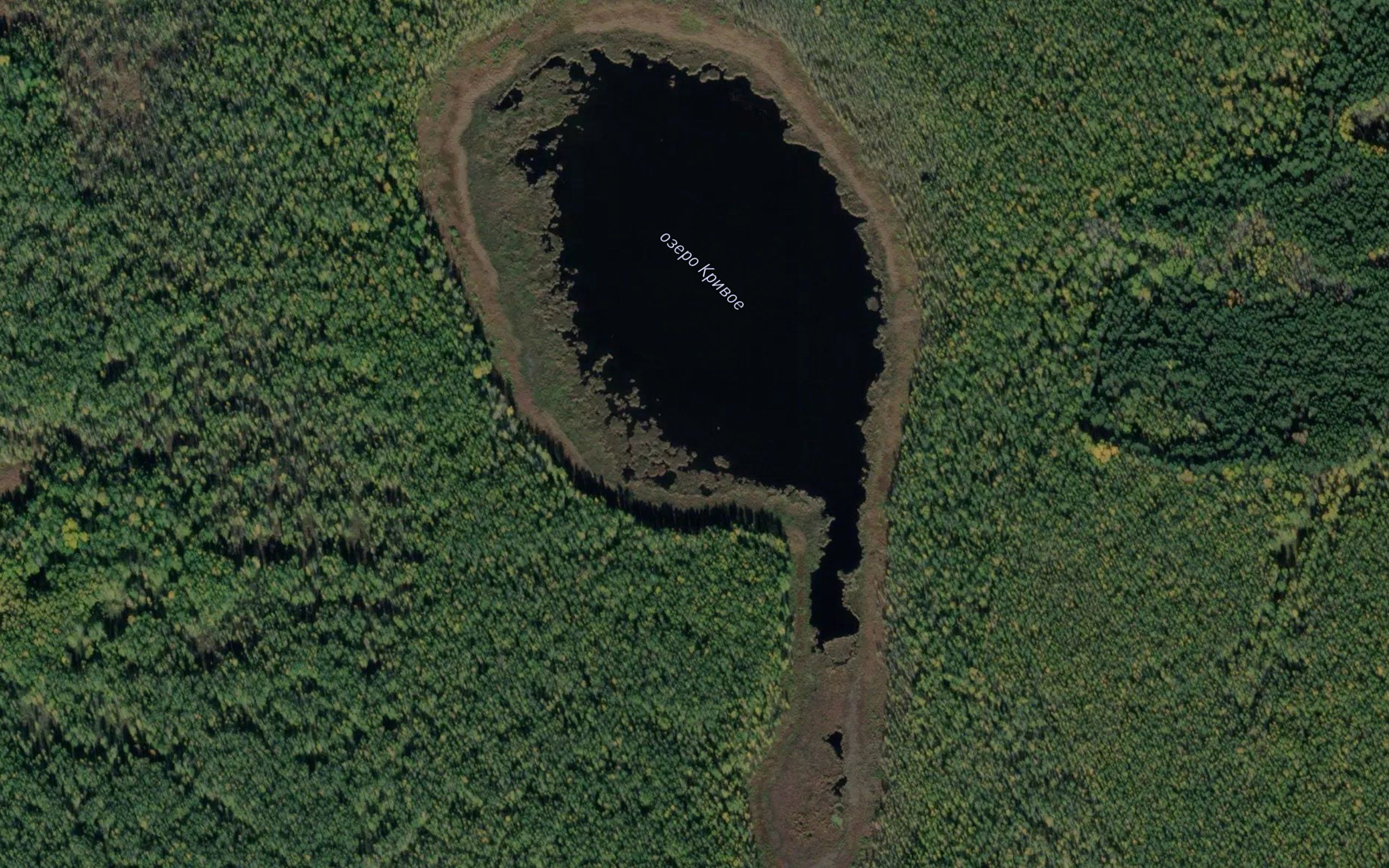 Ozero Krivoye