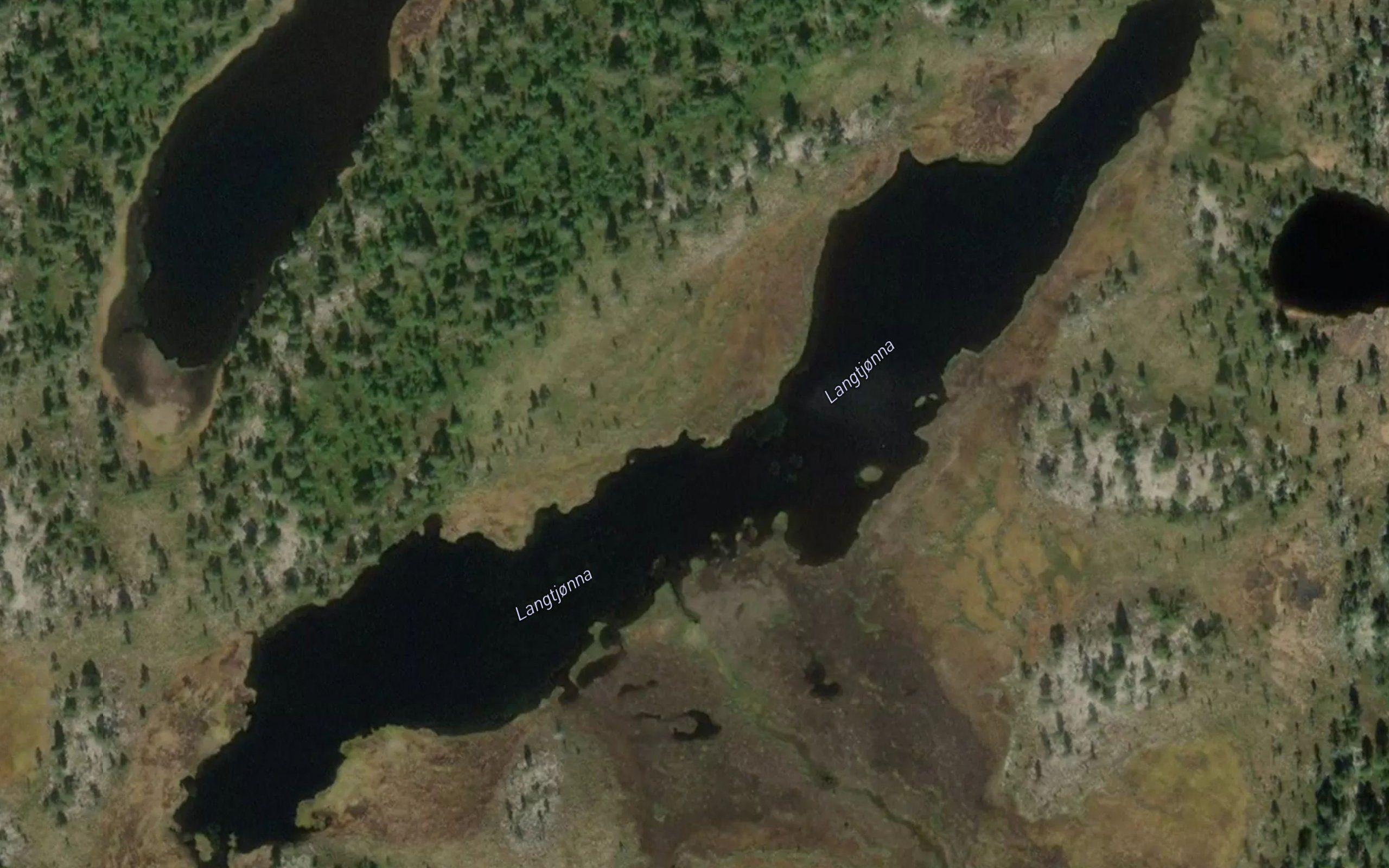 Langtjorna