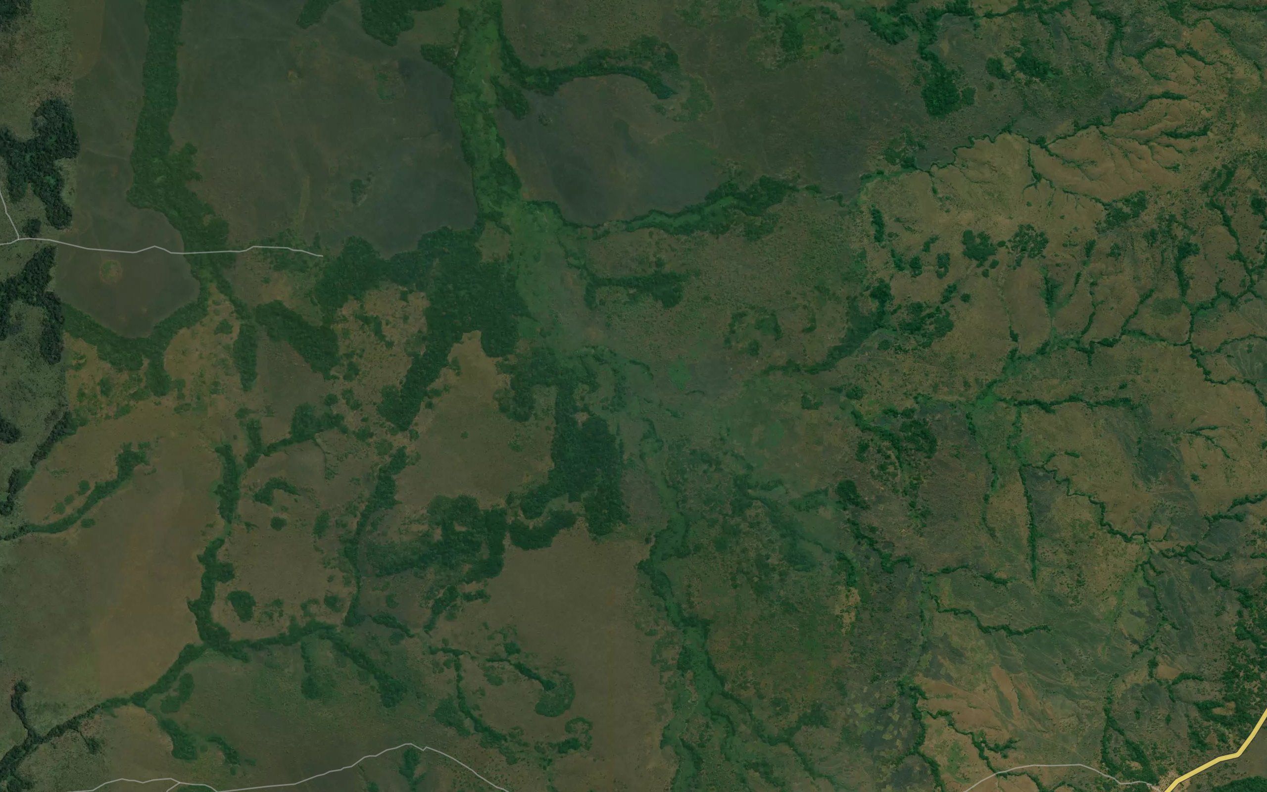 Karika