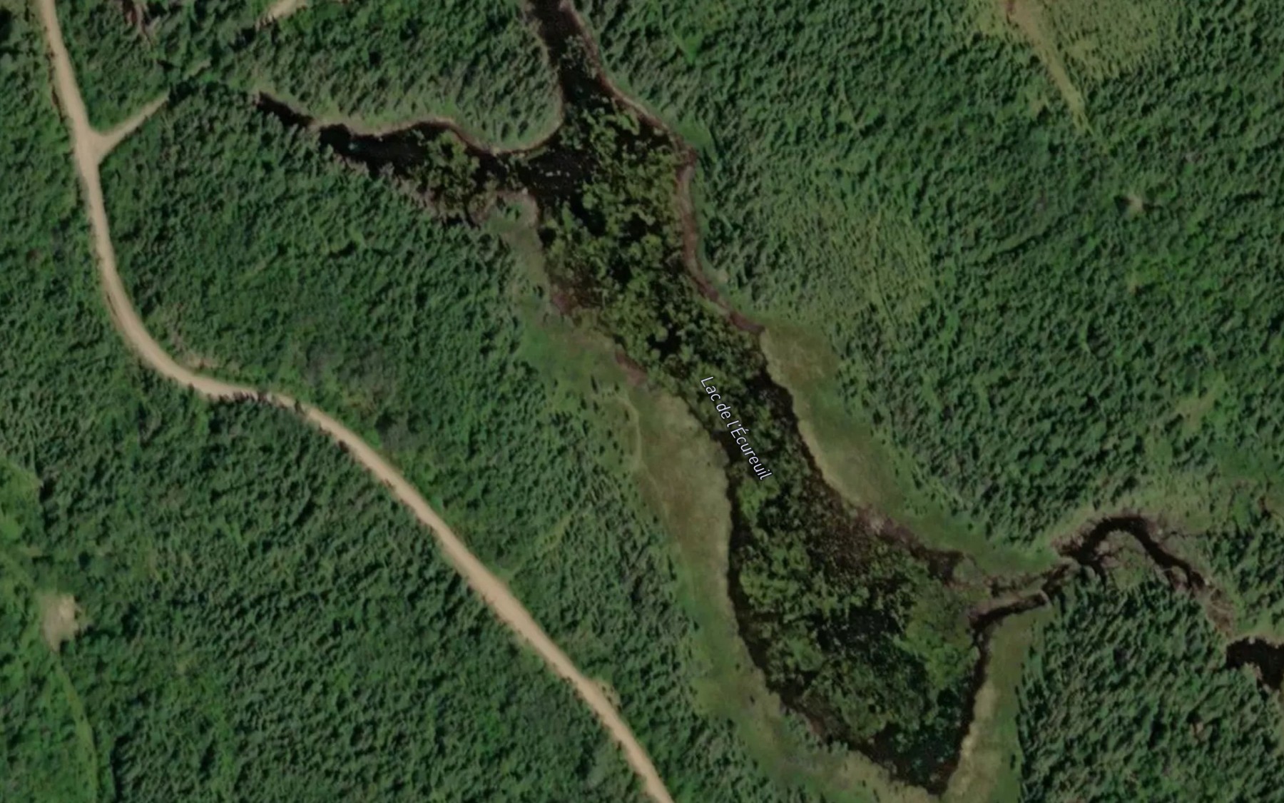 Satellite map of the Lac de l'Ecureuil