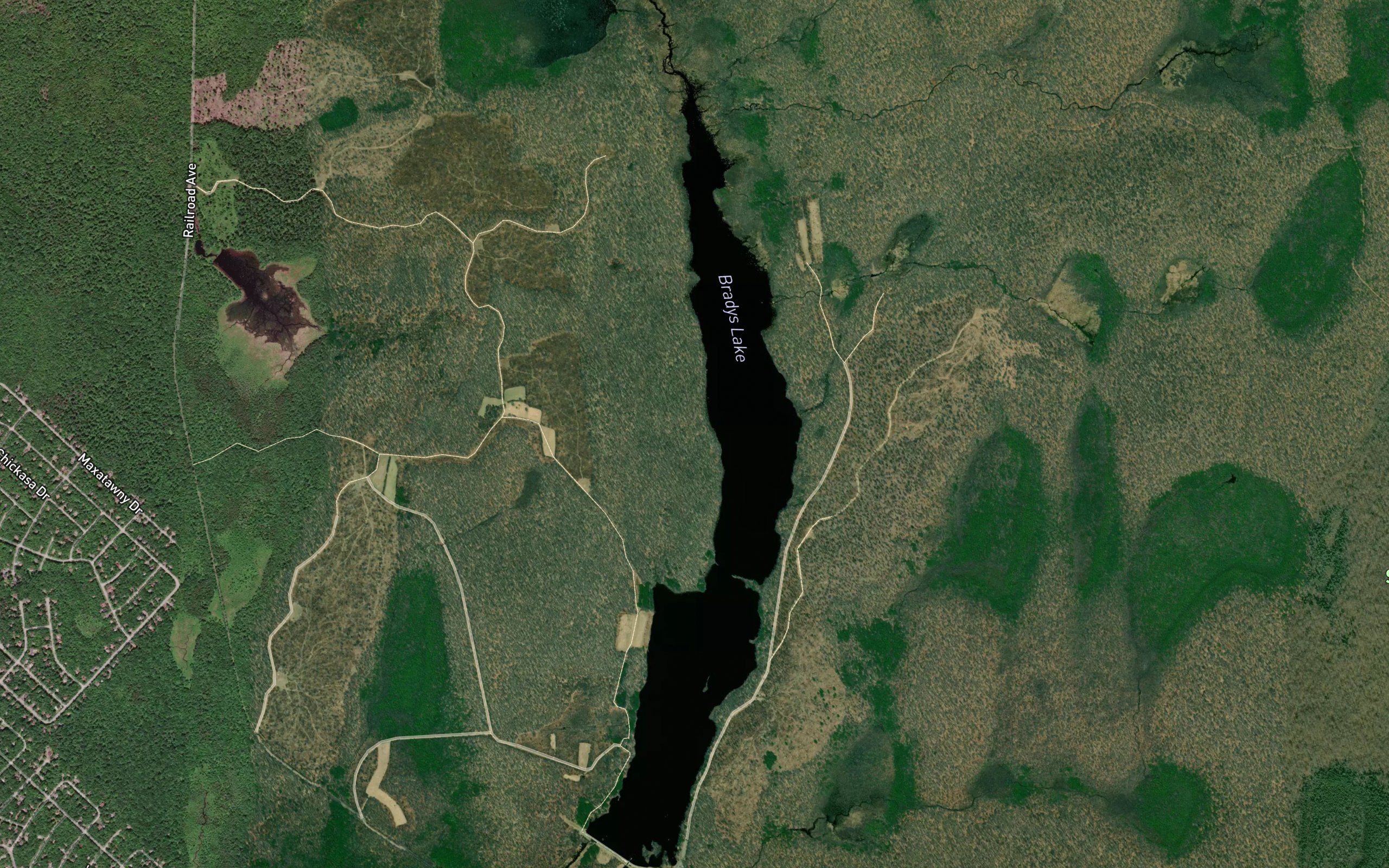 Bradys Lake
