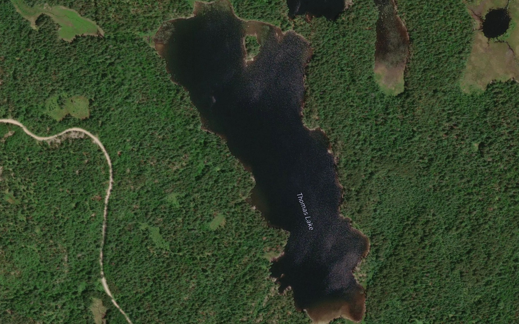 Satellite map of the Thomas Lake