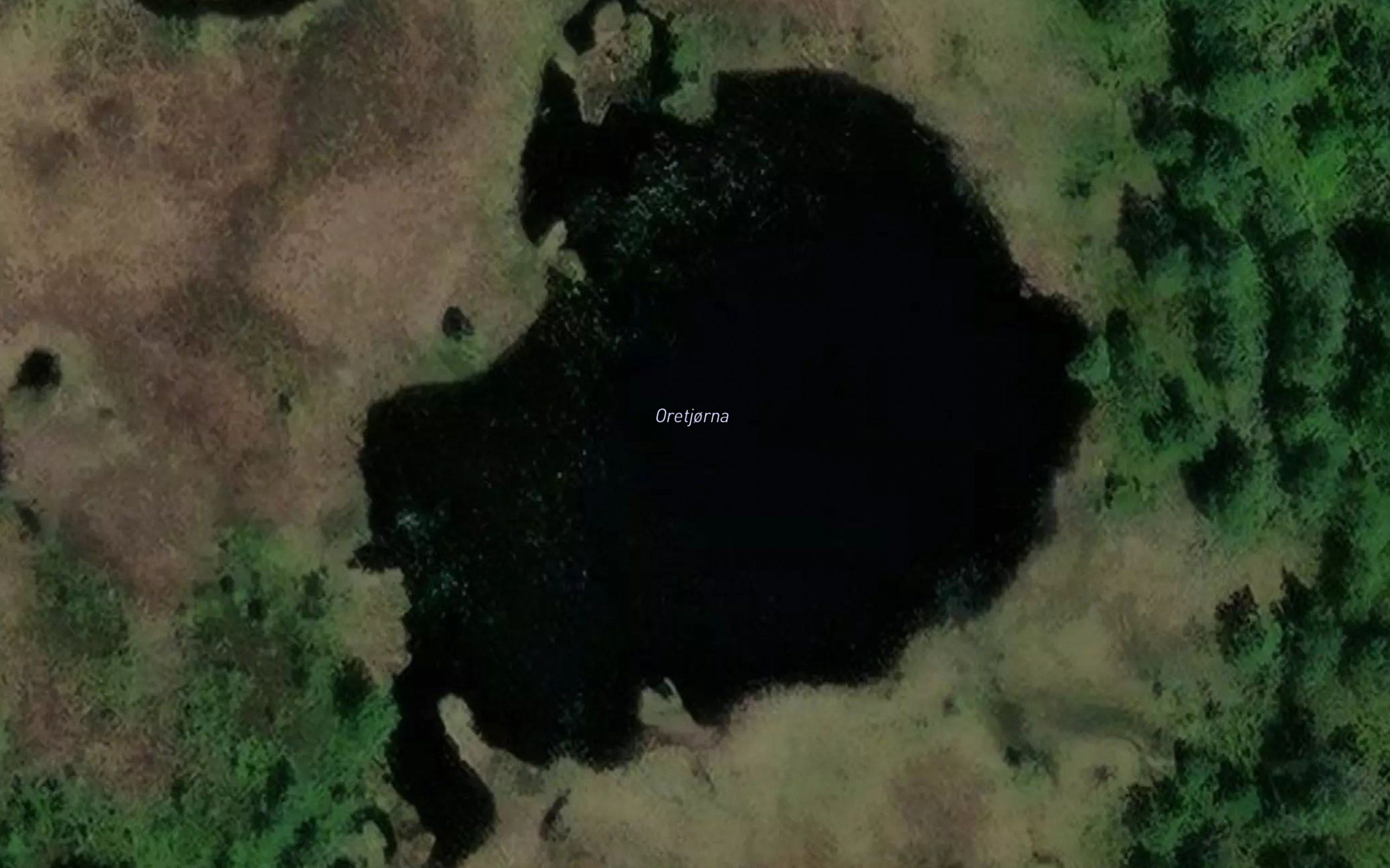 Oretjorna